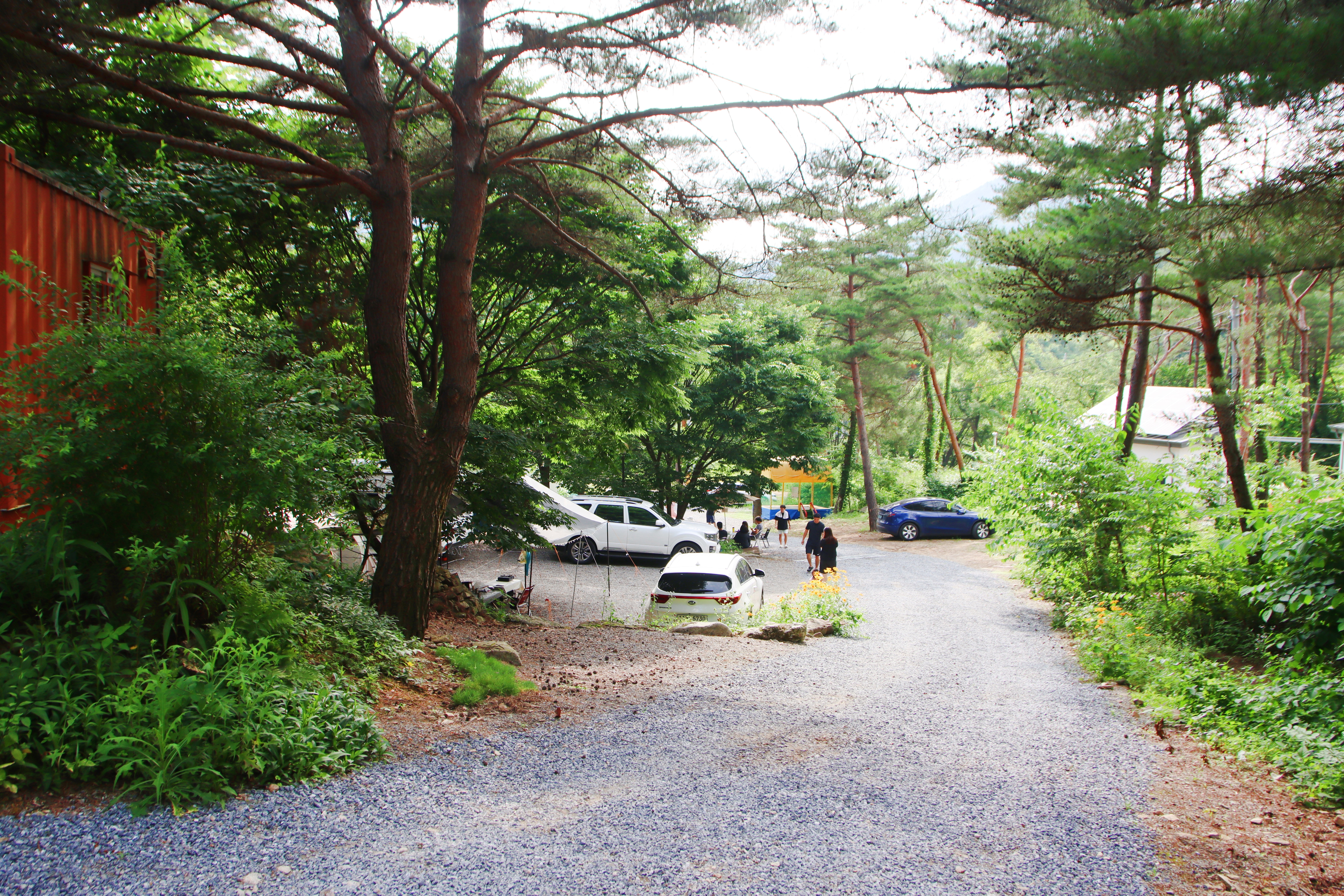 별빛캠핑장 이미지