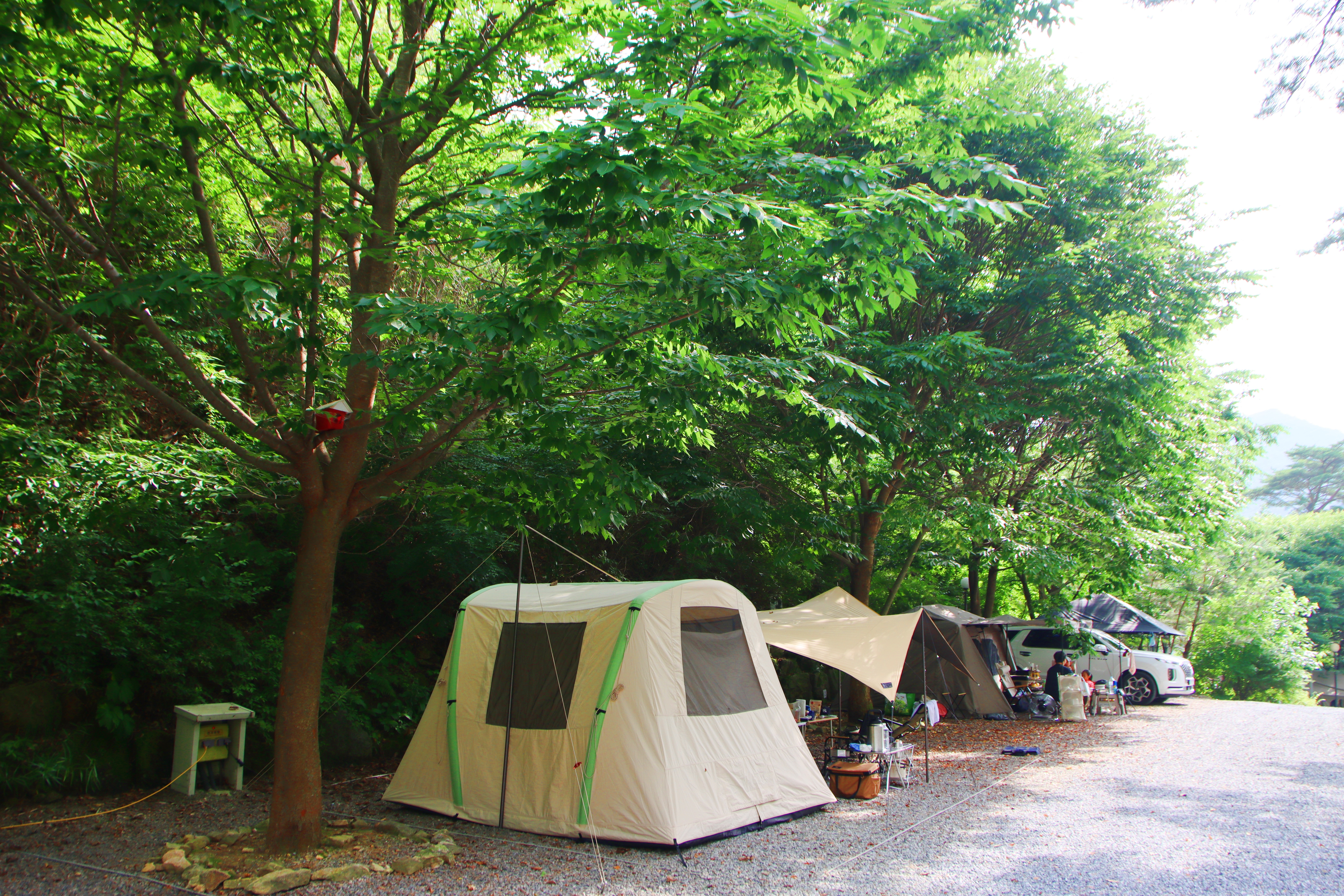 별빛캠핑장 이미지