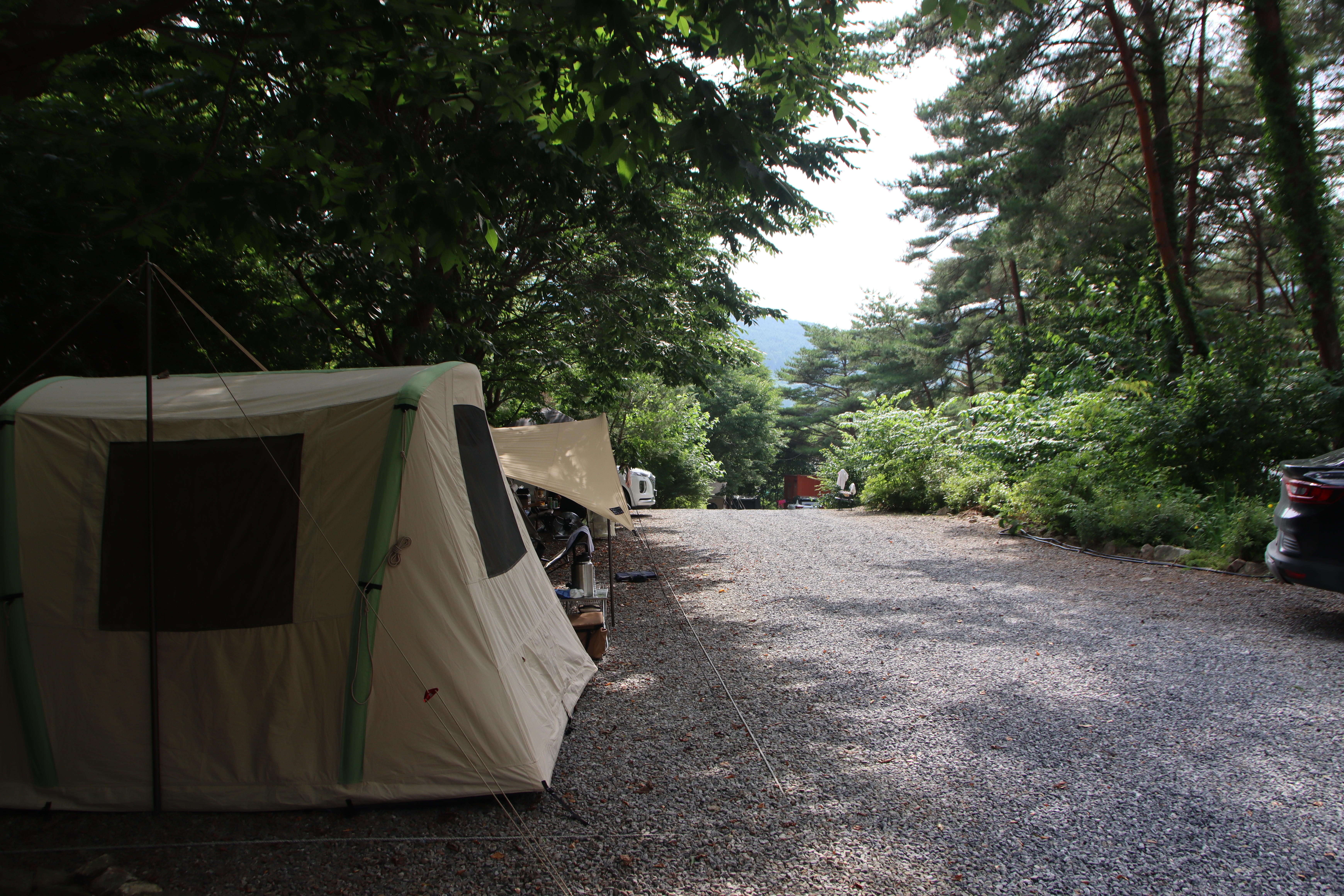 별빛캠핑장 이미지