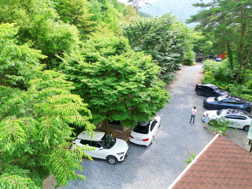 별빛캠핑장