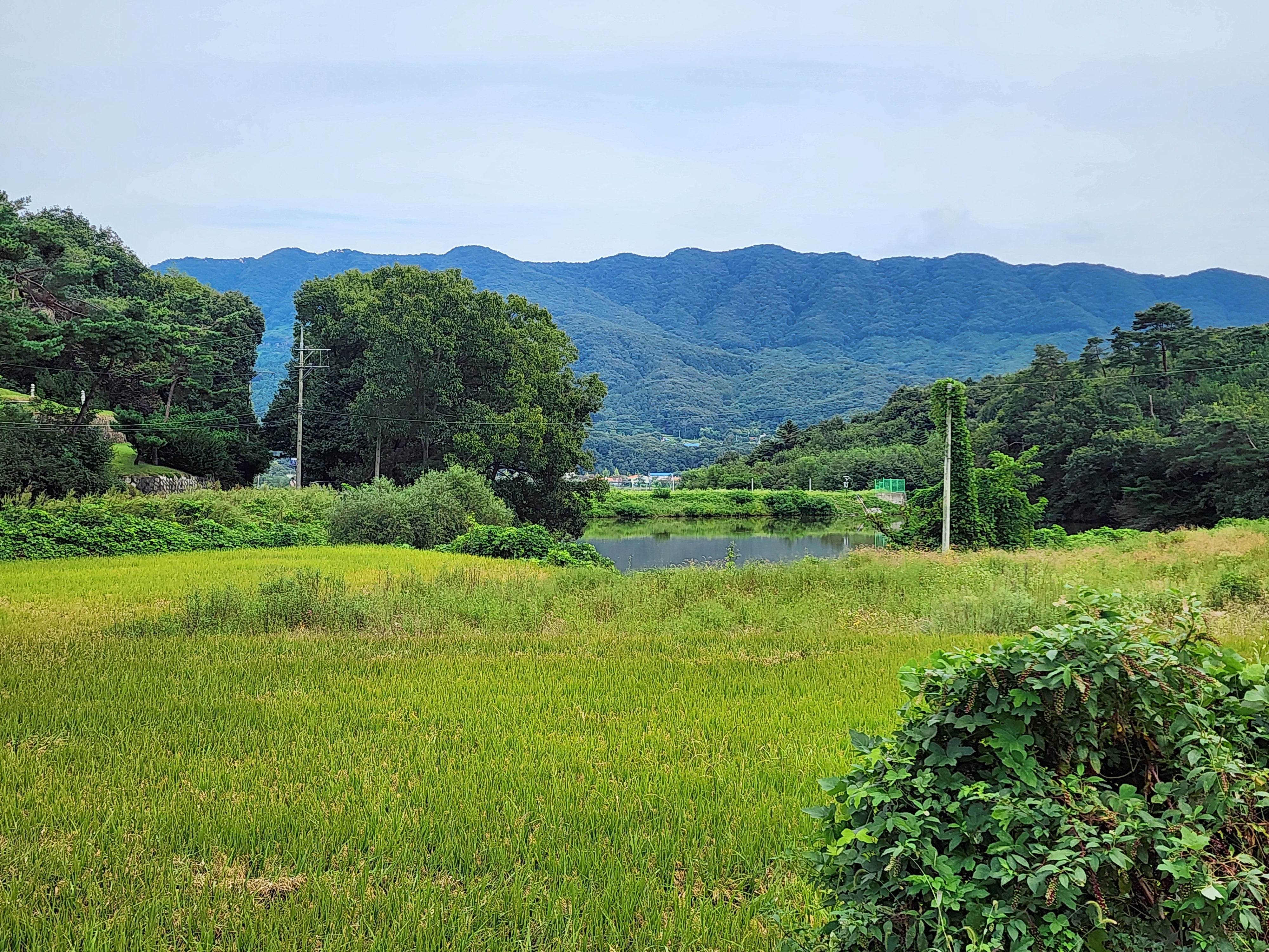 용인반딧불캠핑장 25번째 이미지