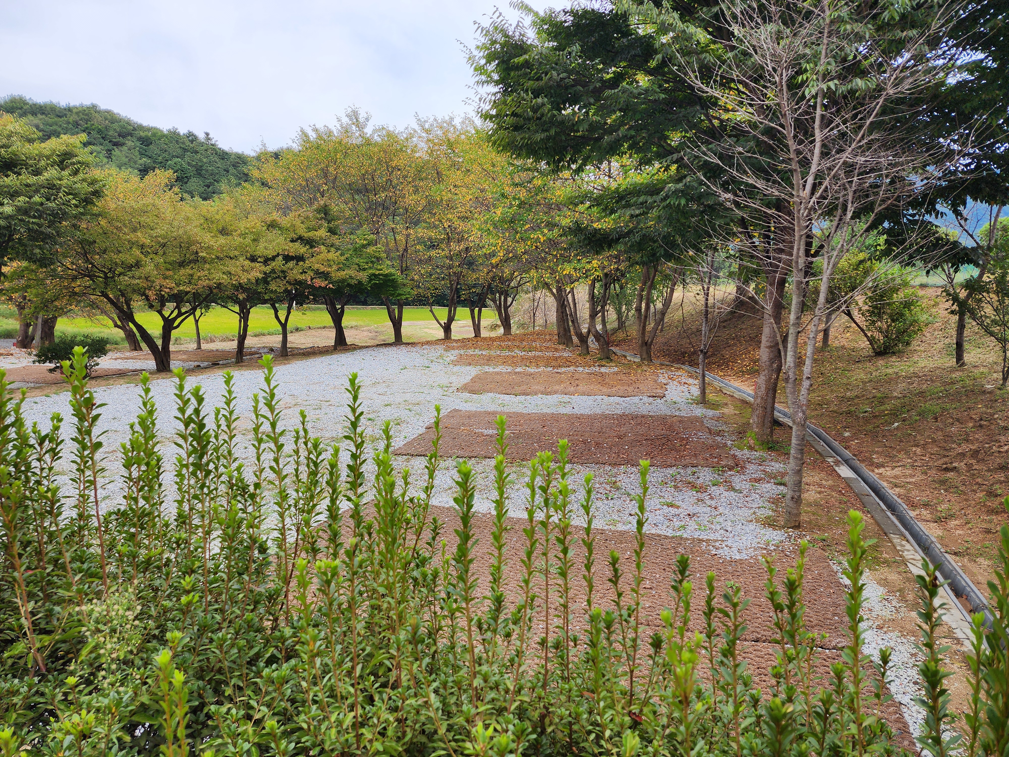 용인반딧불캠핑장 9번째 이미지