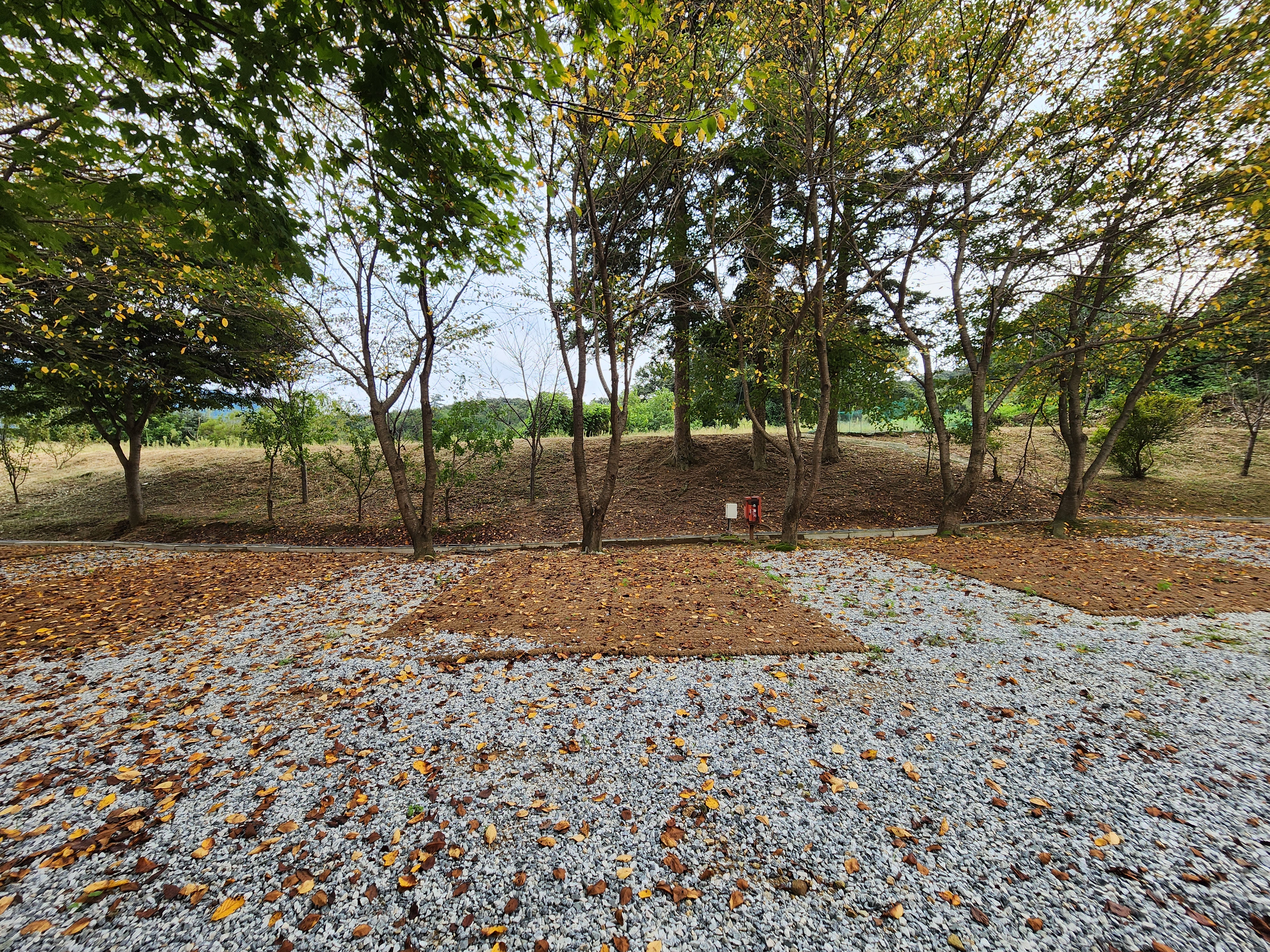 용인반딧불캠핑장 8번째 이미지