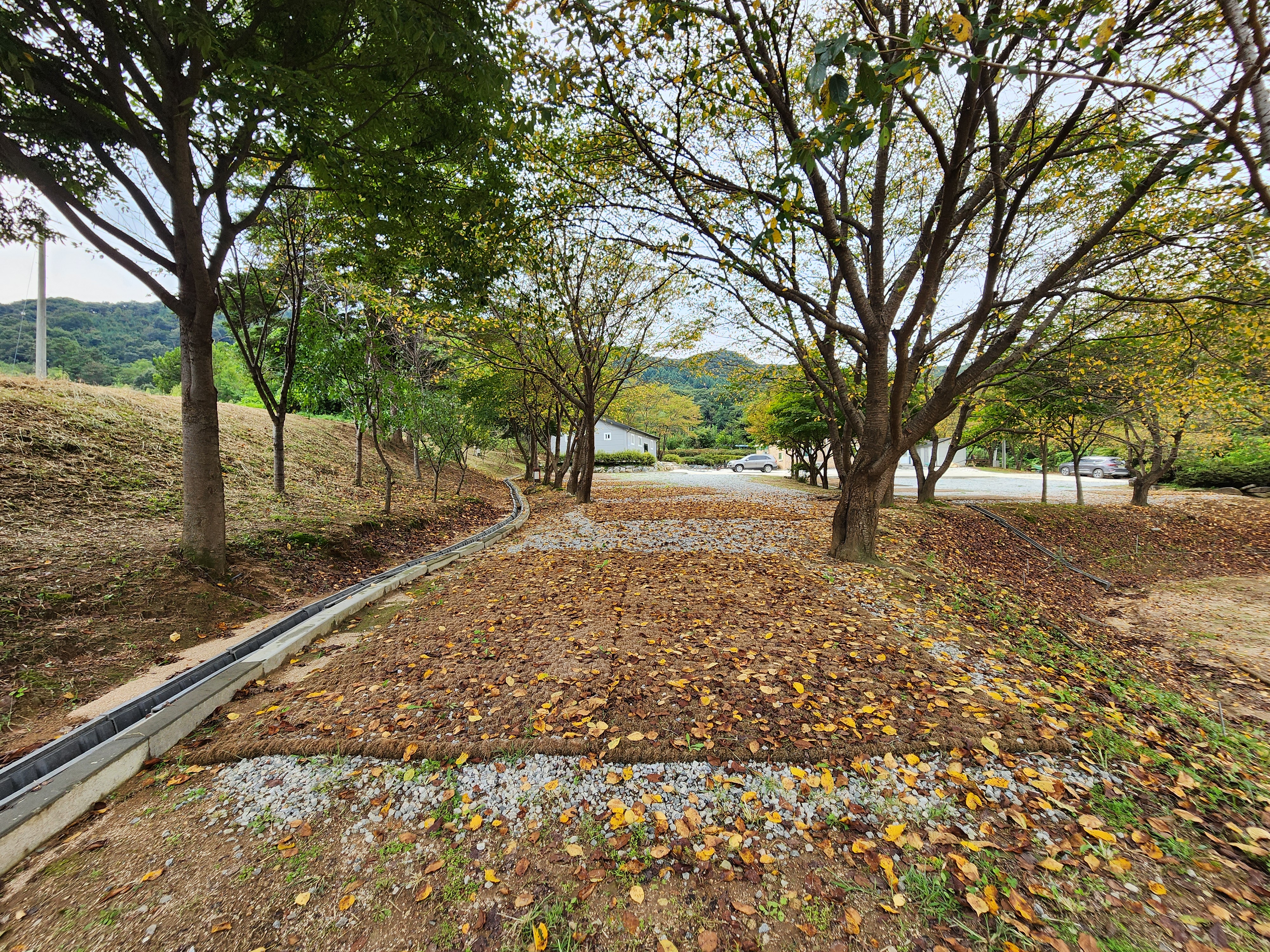 용인반딧불캠핑장 7번째 이미지