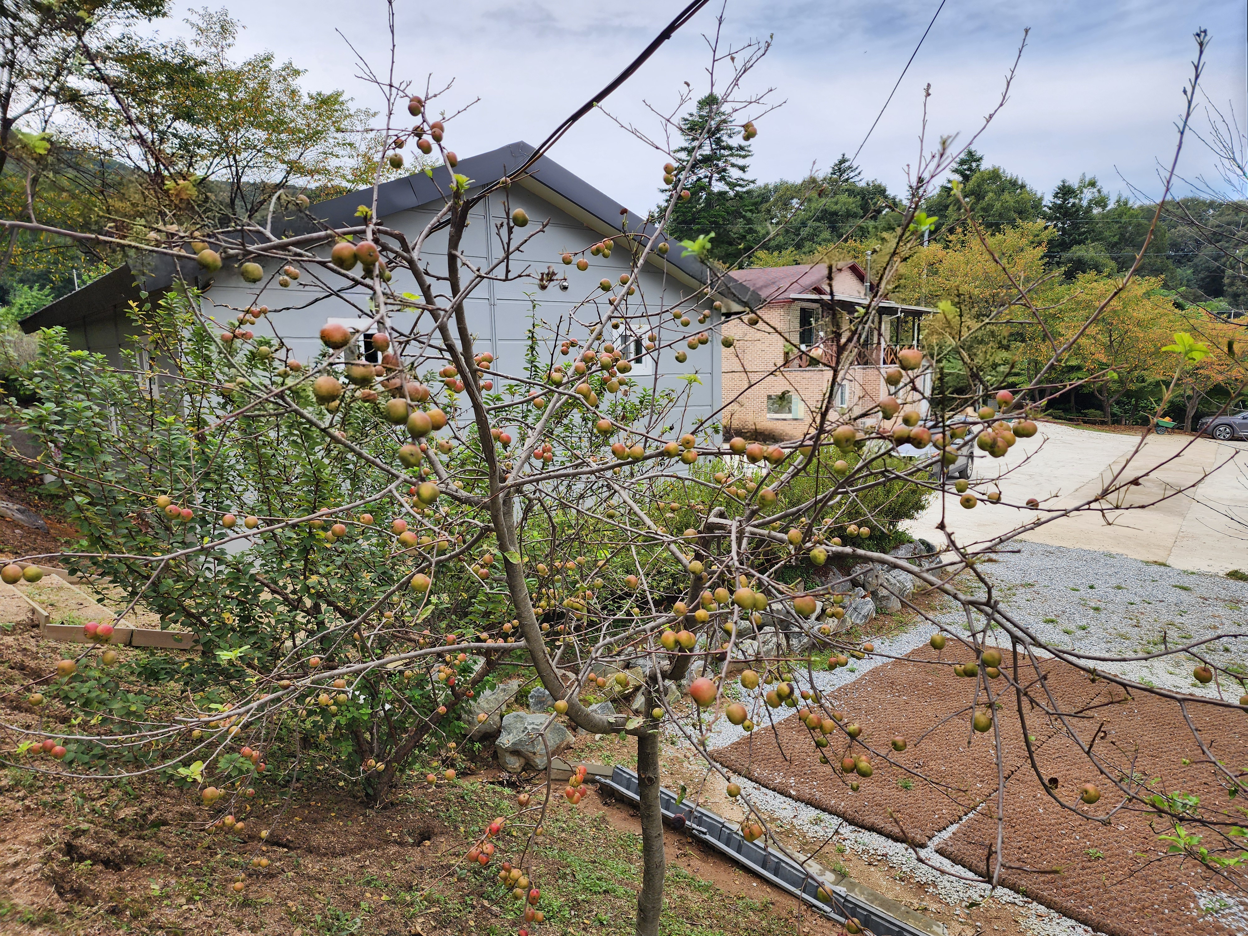 용인반딧불캠핑장 23번째 이미지