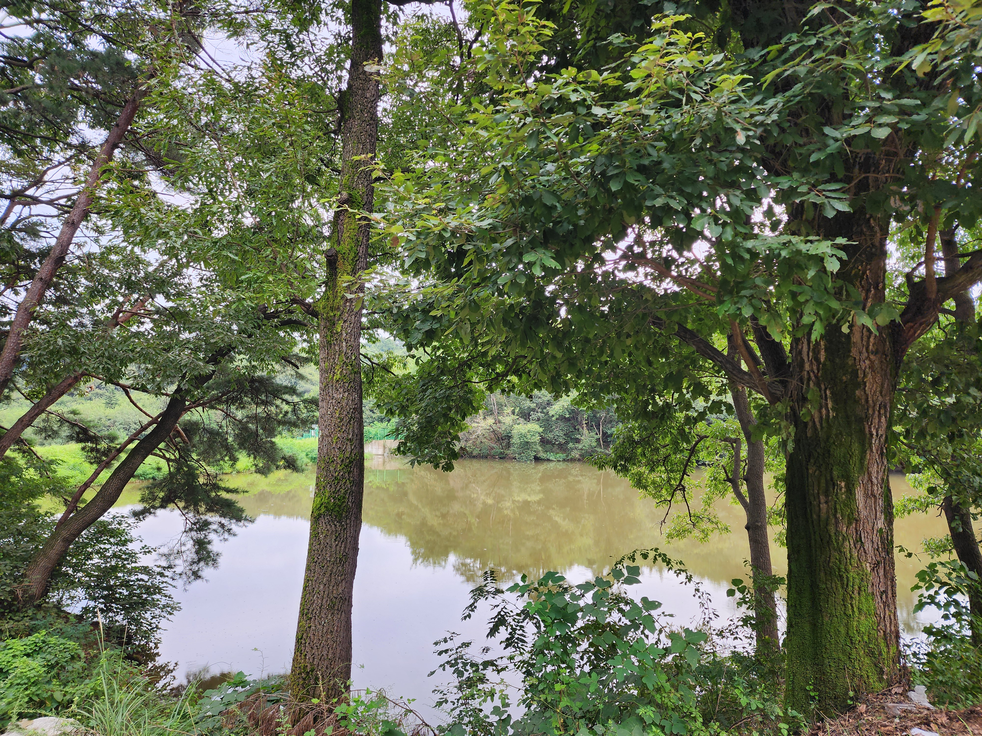 용인반딧불캠핑장 6번째 이미지