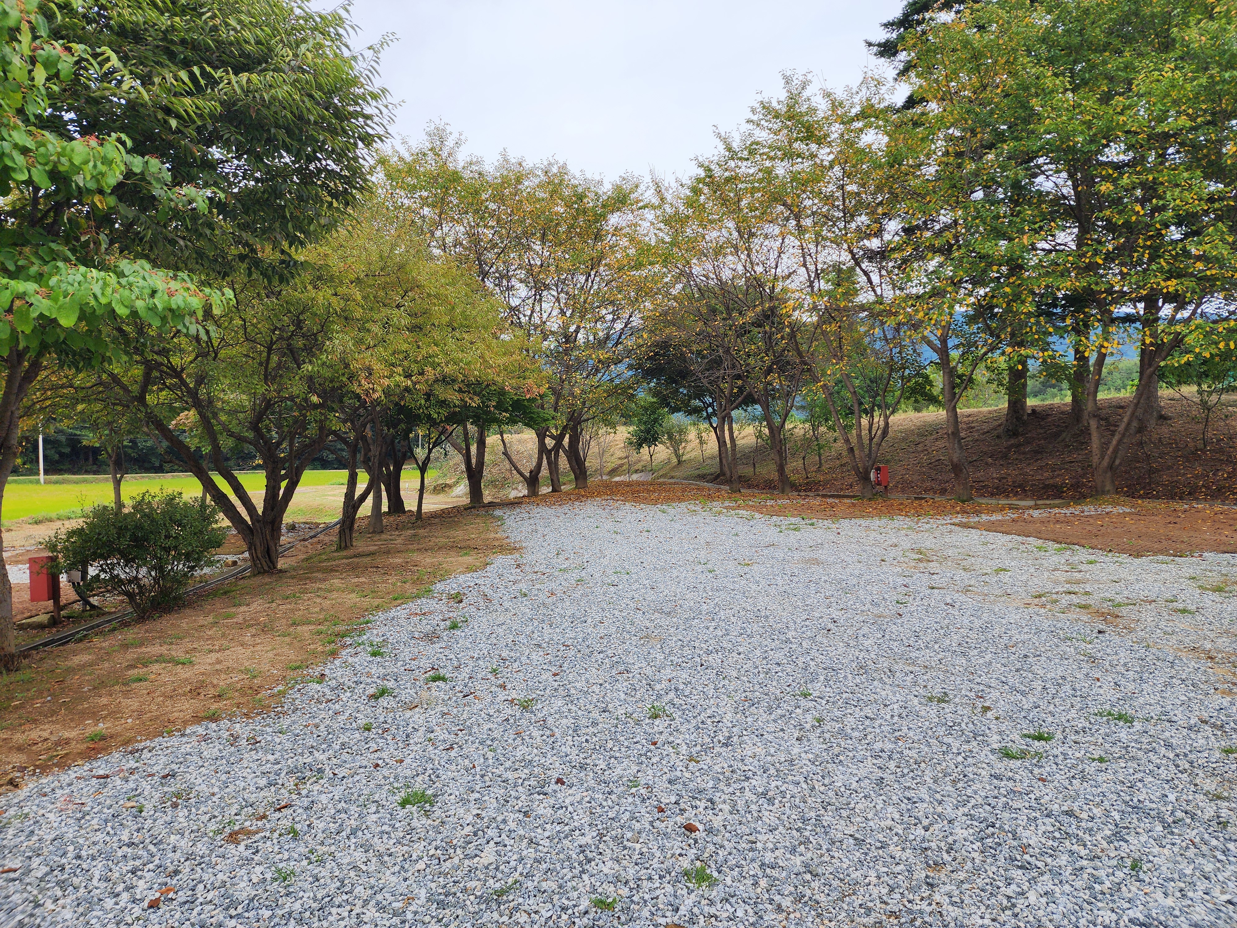 용인반딧불캠핑장 2번째 이미지