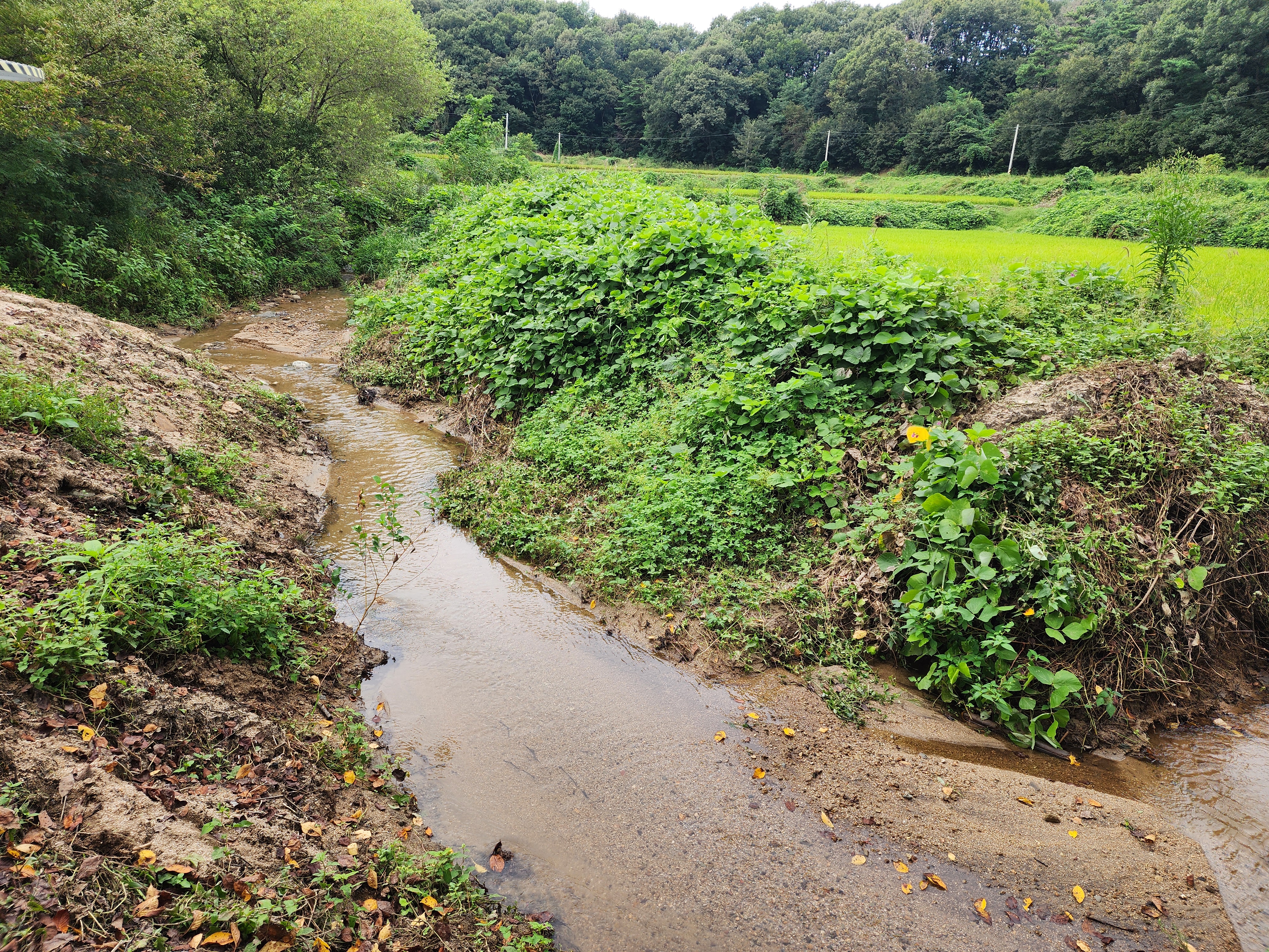 용인반딧불캠핑장 5번째 이미지