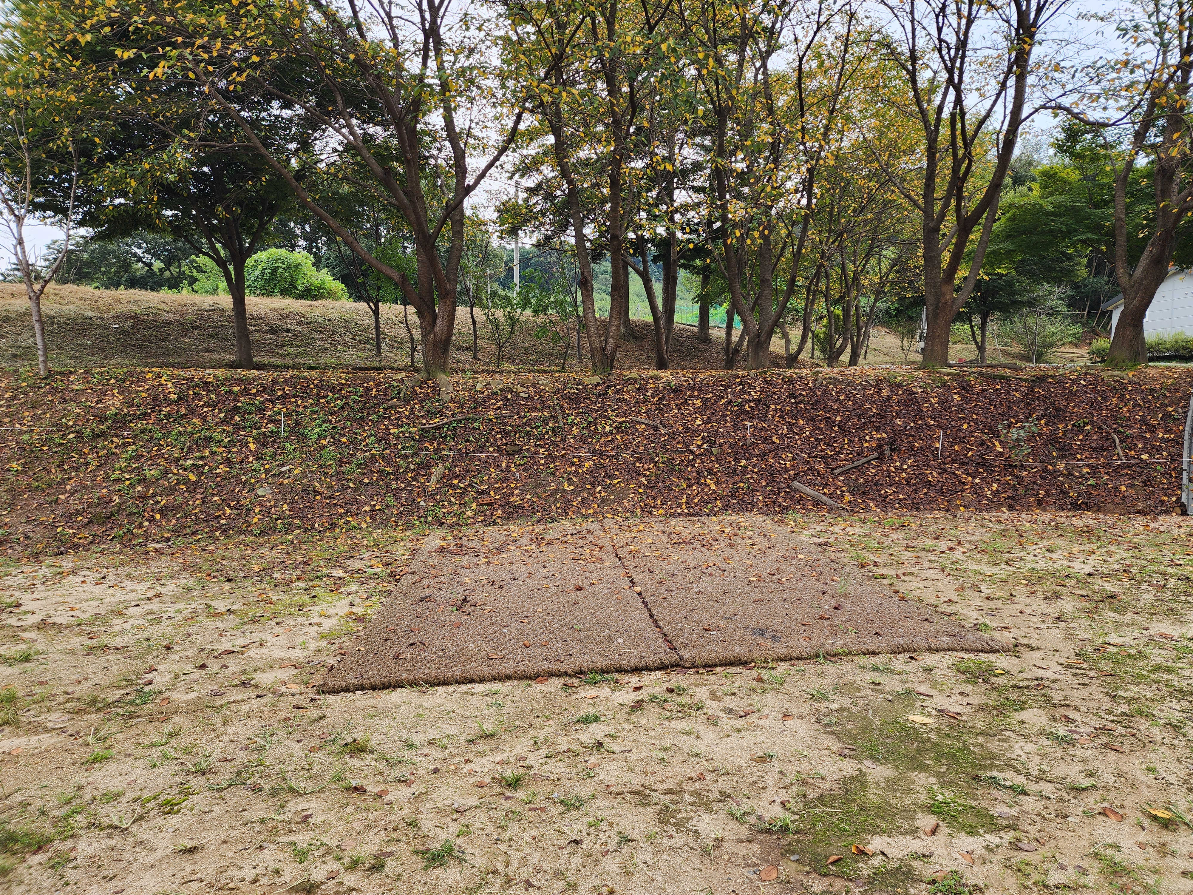 용인반딧불캠핑장 15번째 이미지