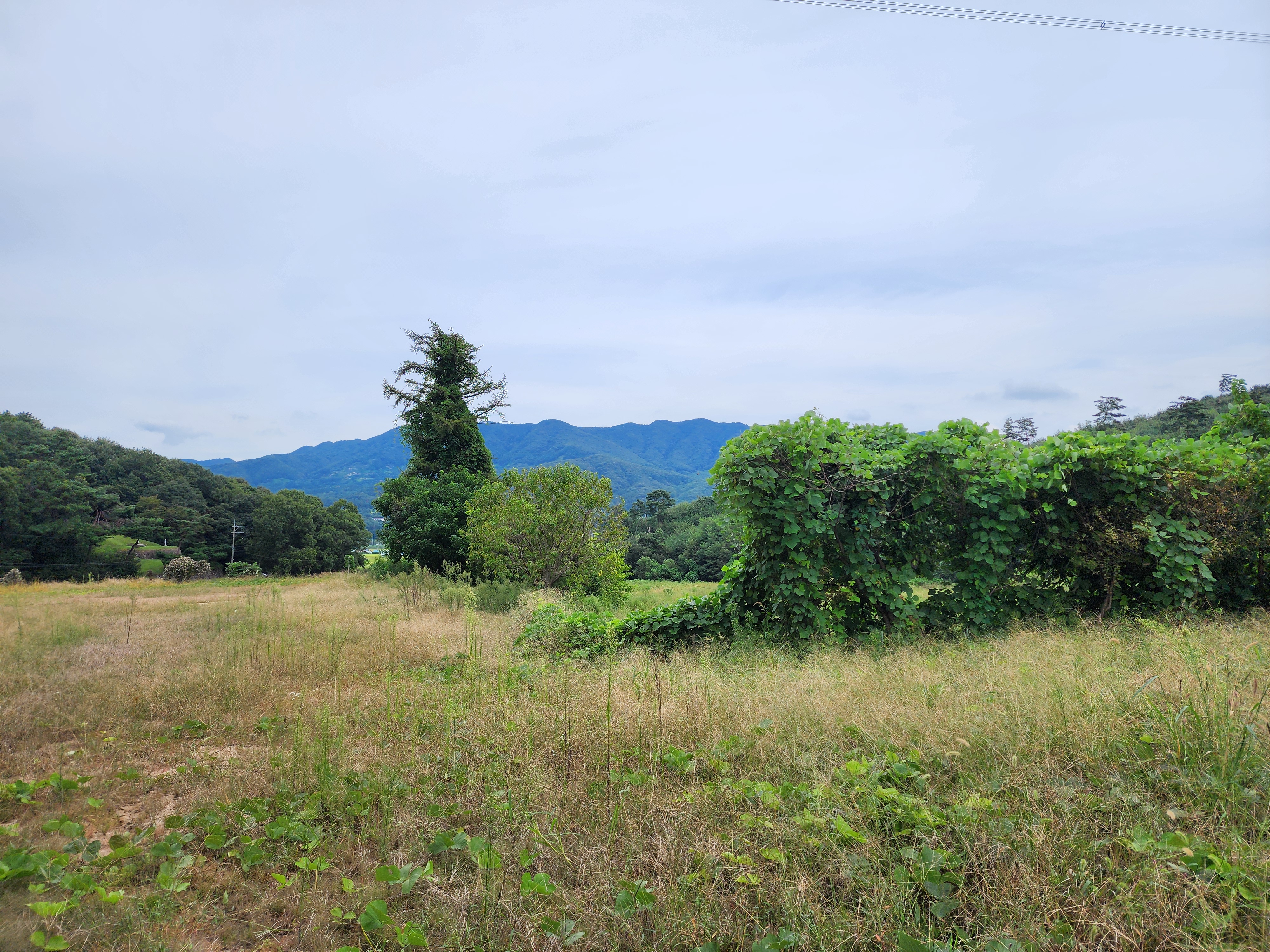 용인반딧불캠핑장 24번째 이미지