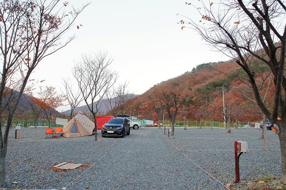 용천토리 오토캠핑장