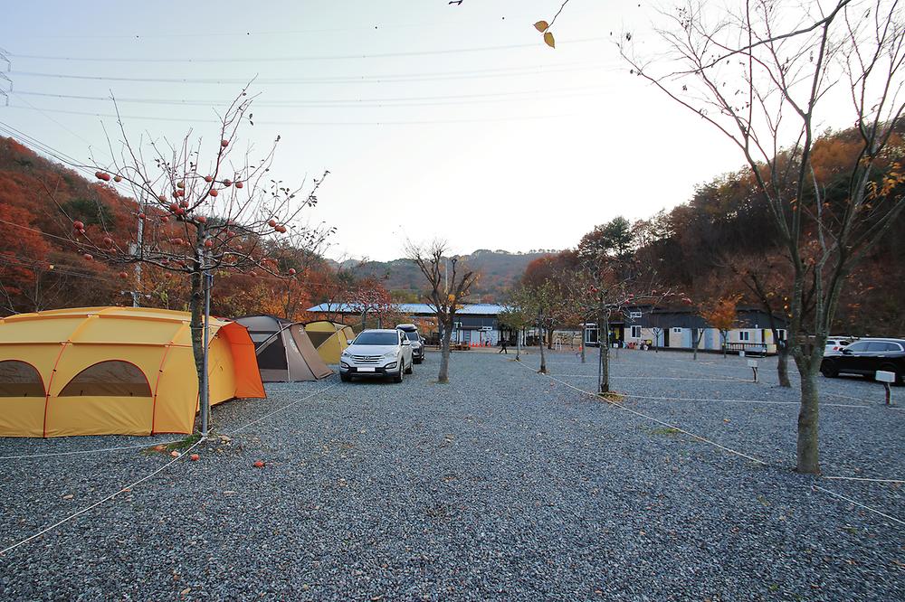 용천토리 오토캠핑장