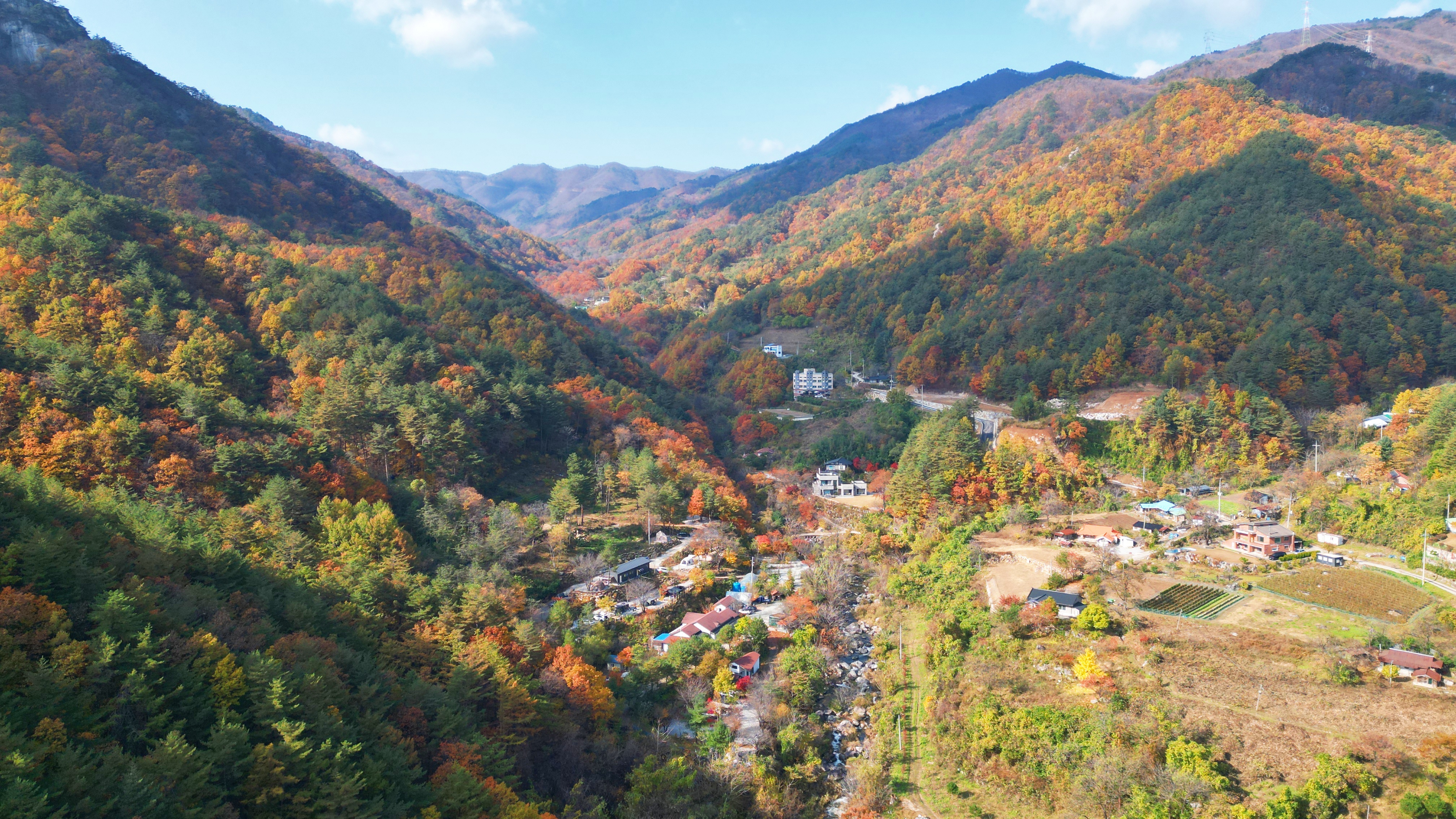 정원캠핑장 이미지