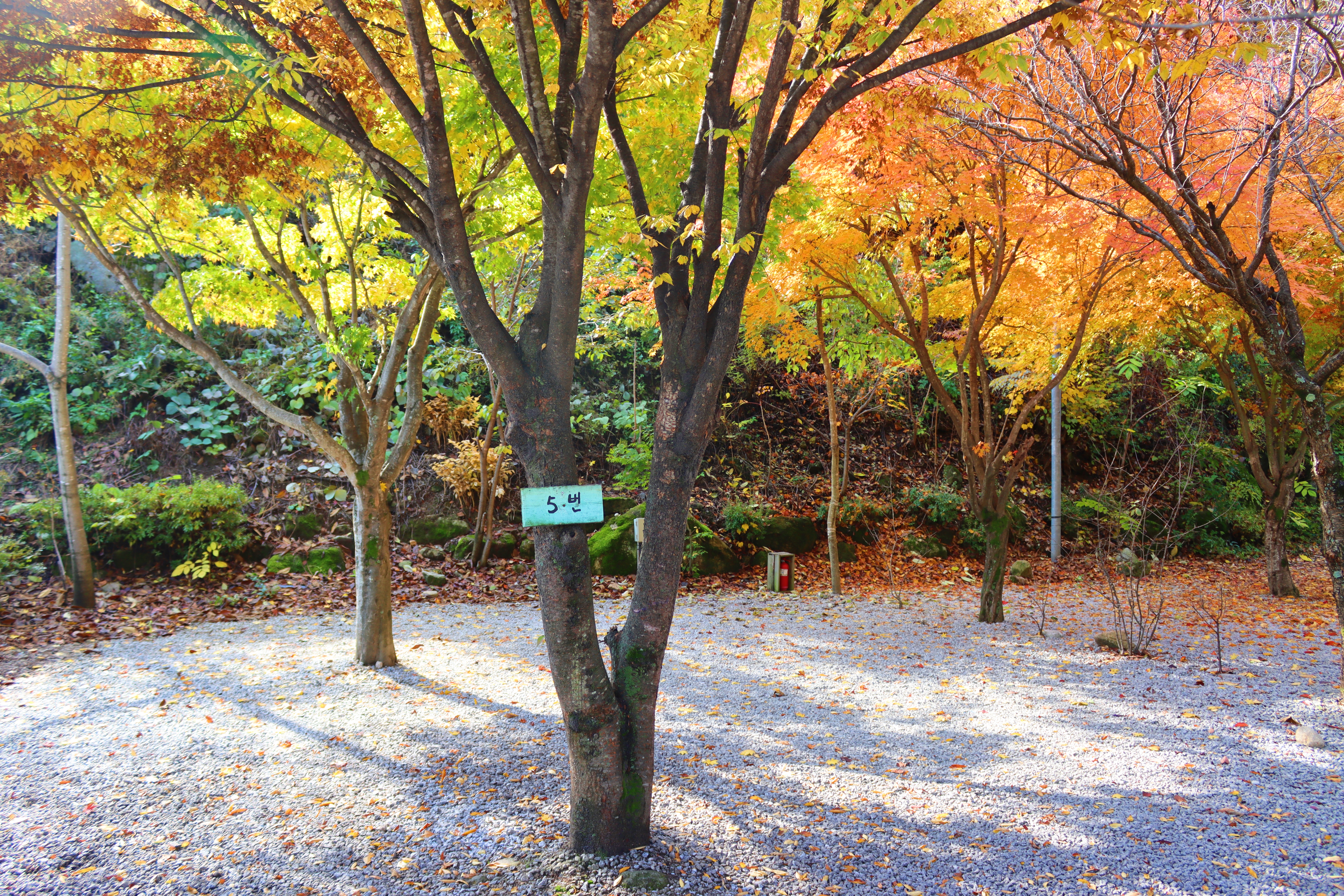 정원캠핑장 이미지