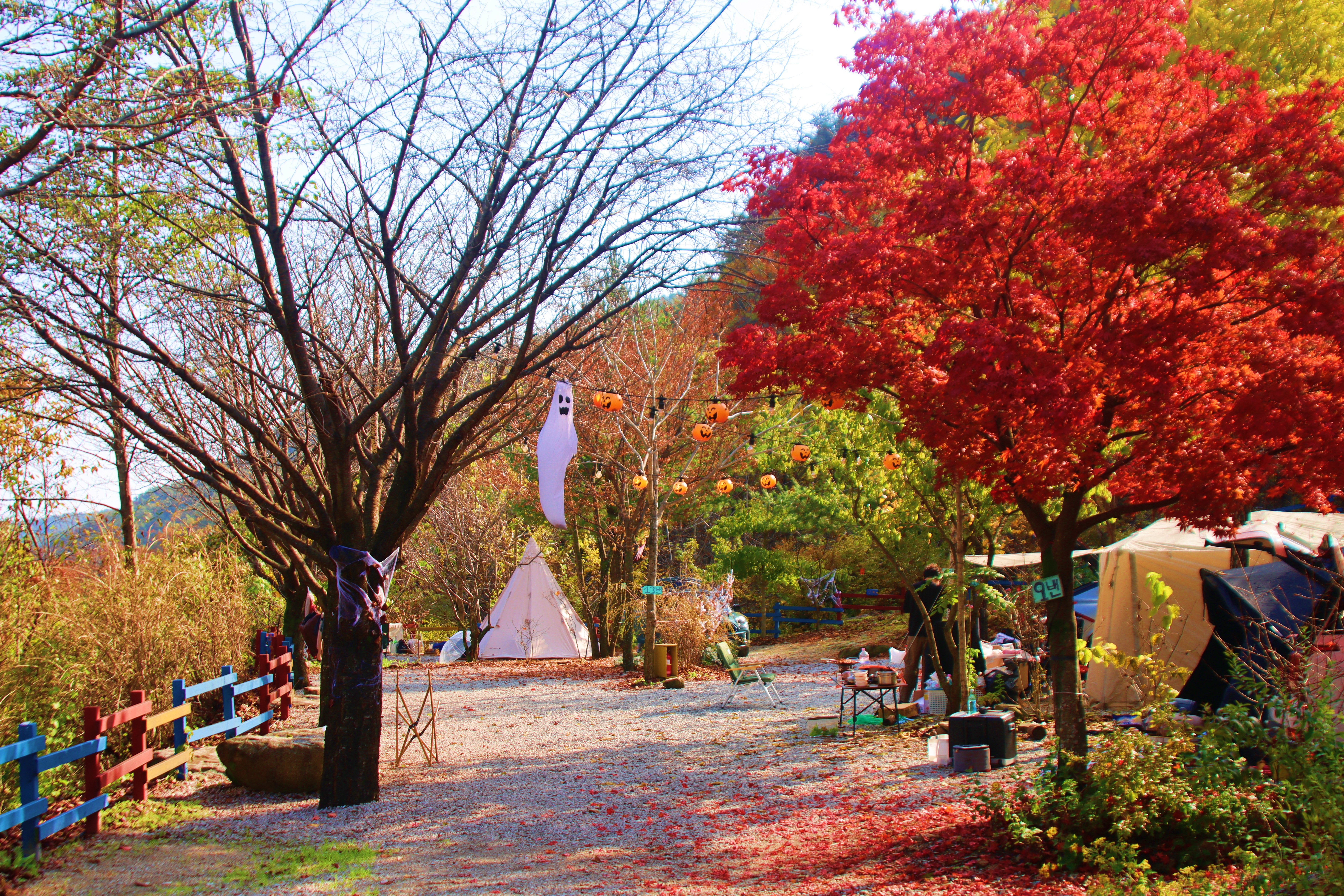 정원캠핑장 이미지