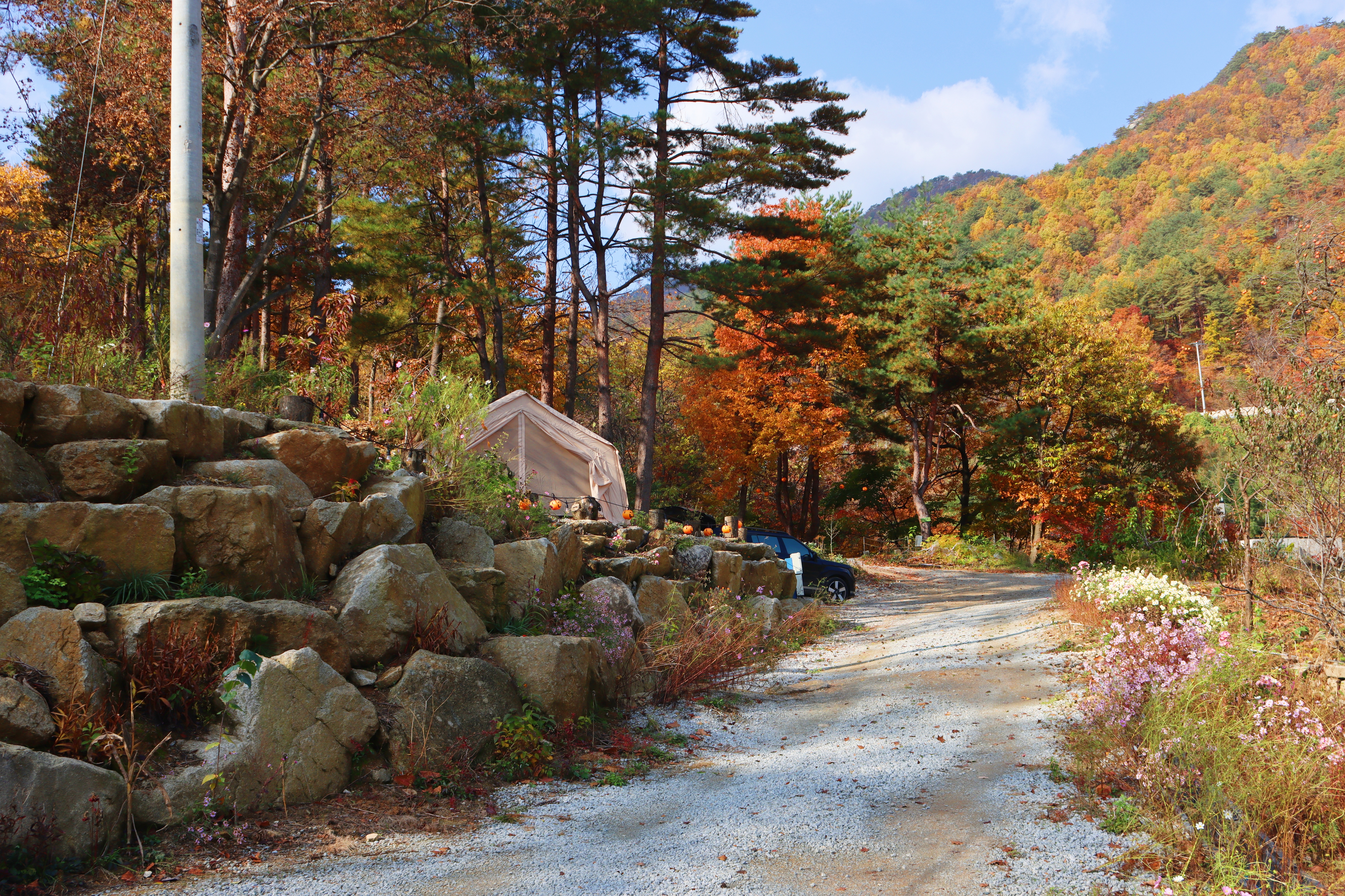 정원캠핑장 이미지
