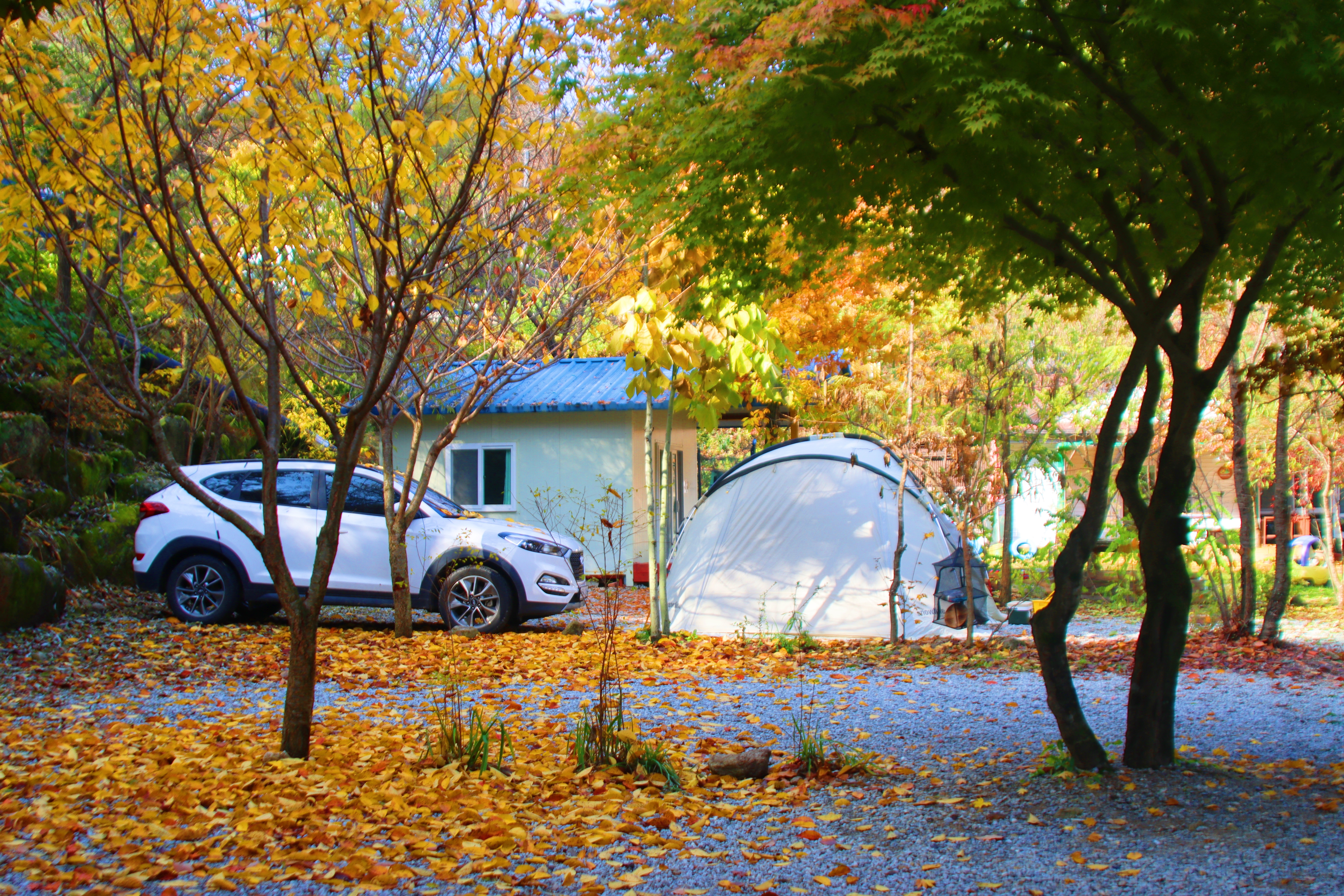 정원캠핑장 이미지