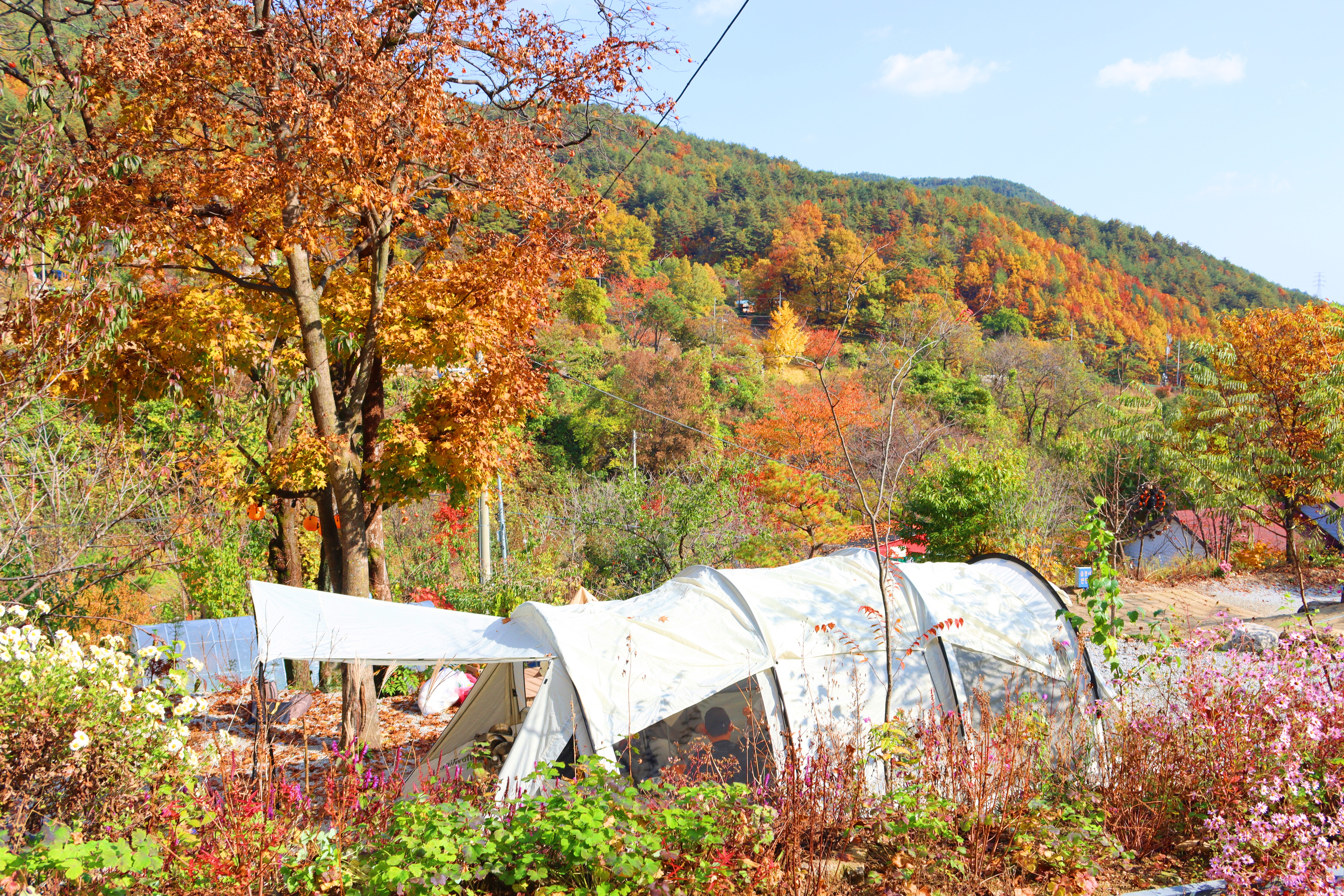 정원캠핑장 이미지
