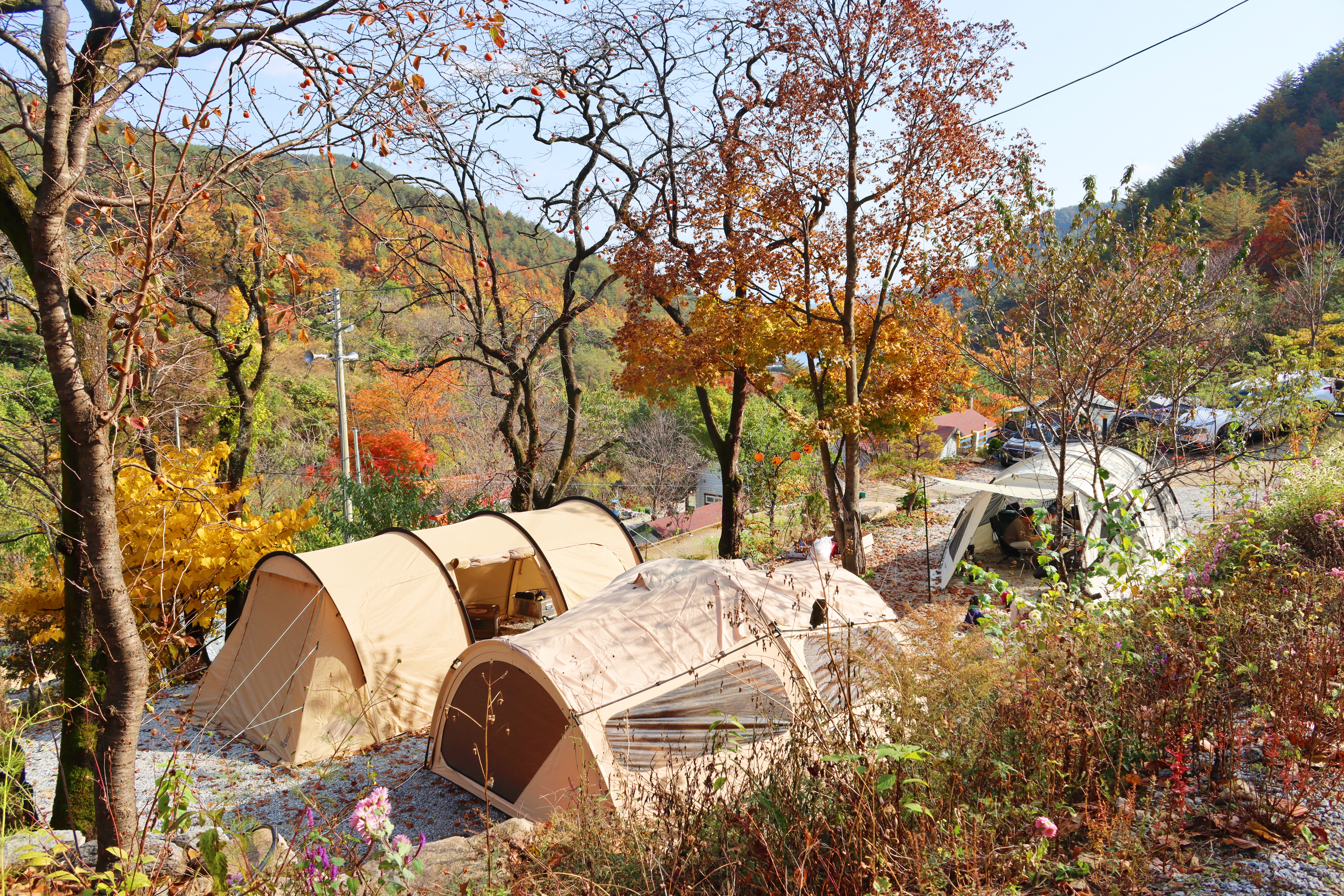 정원캠핑장 이미지
