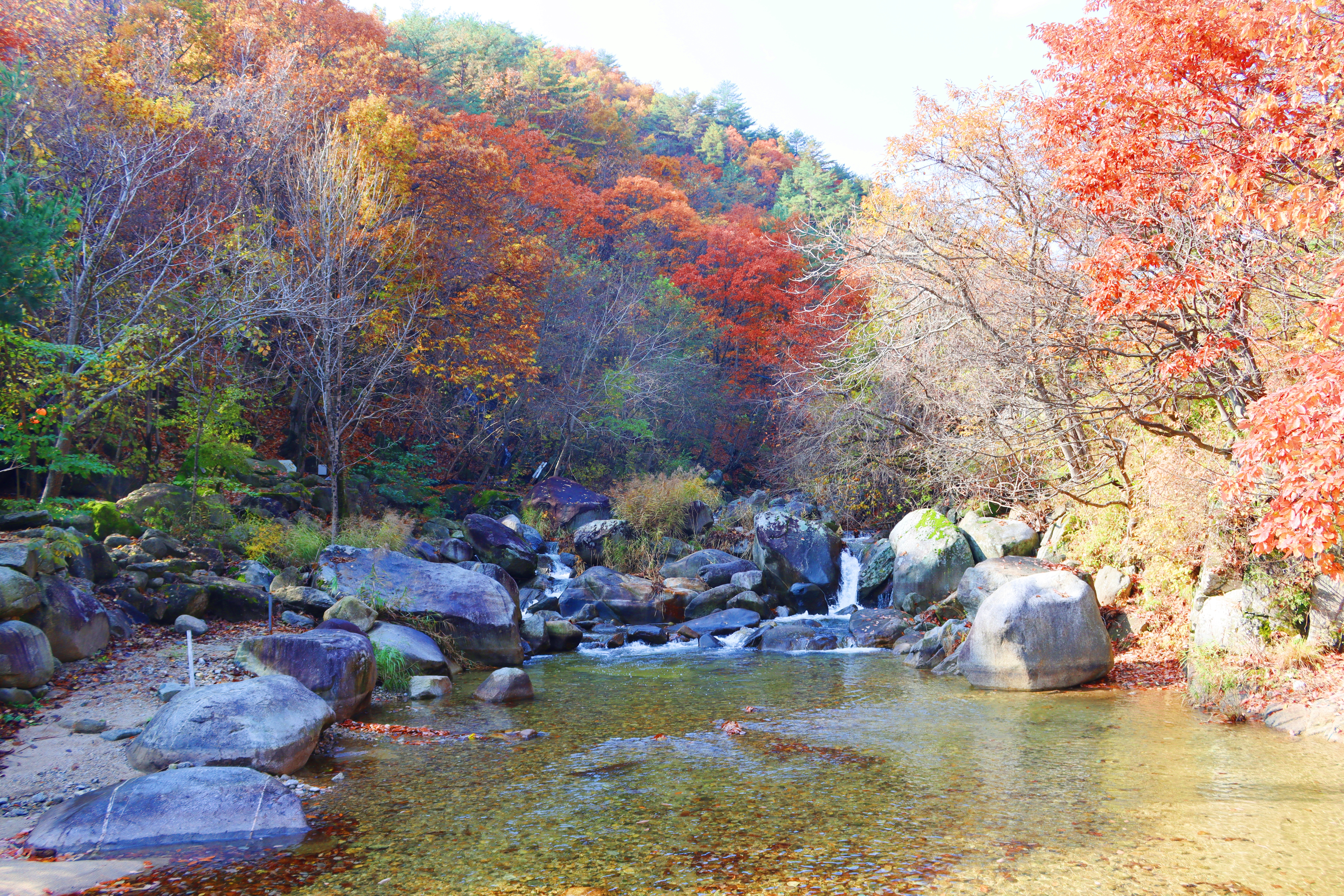 정원캠핑장 이미지