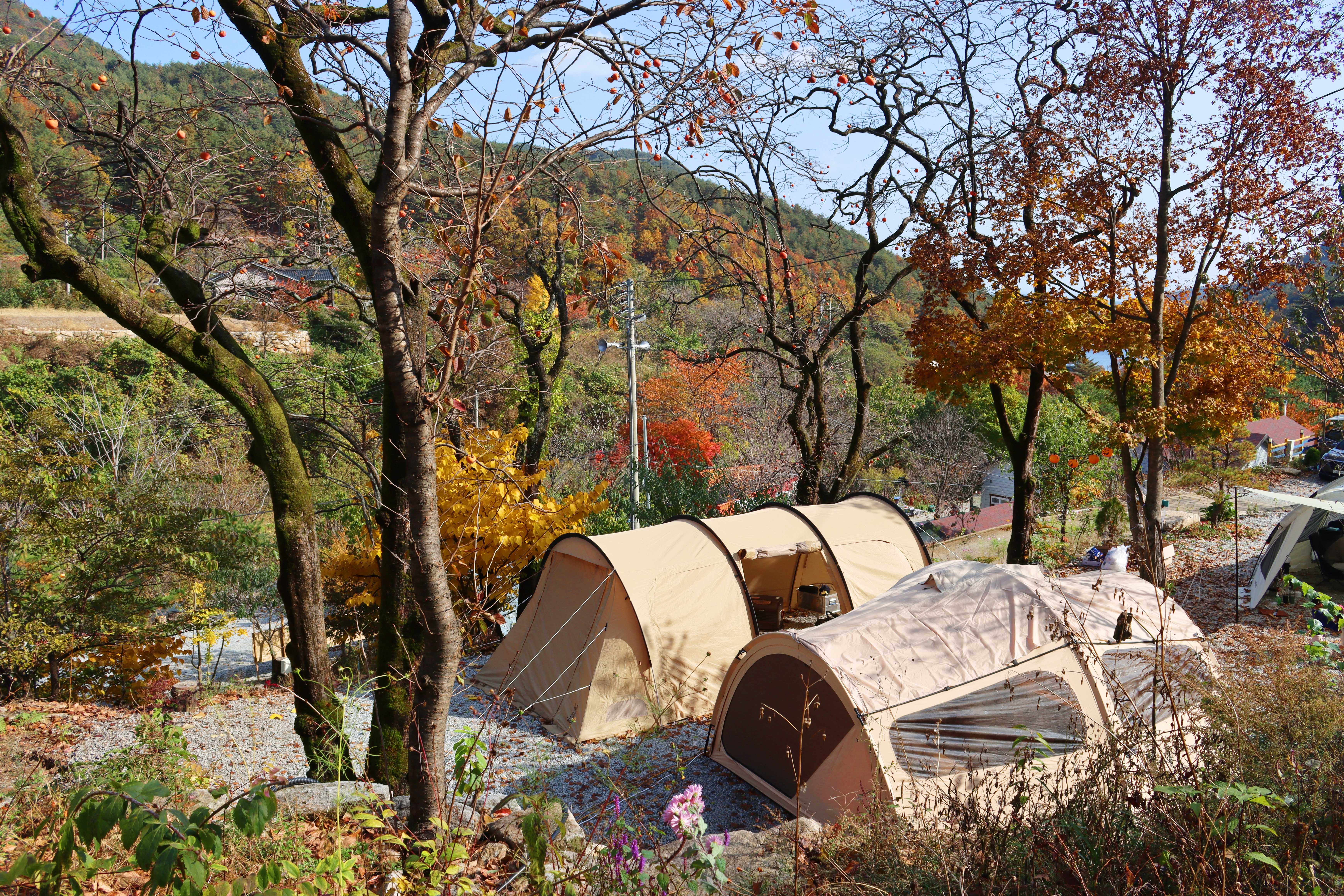 정원캠핑장 이미지