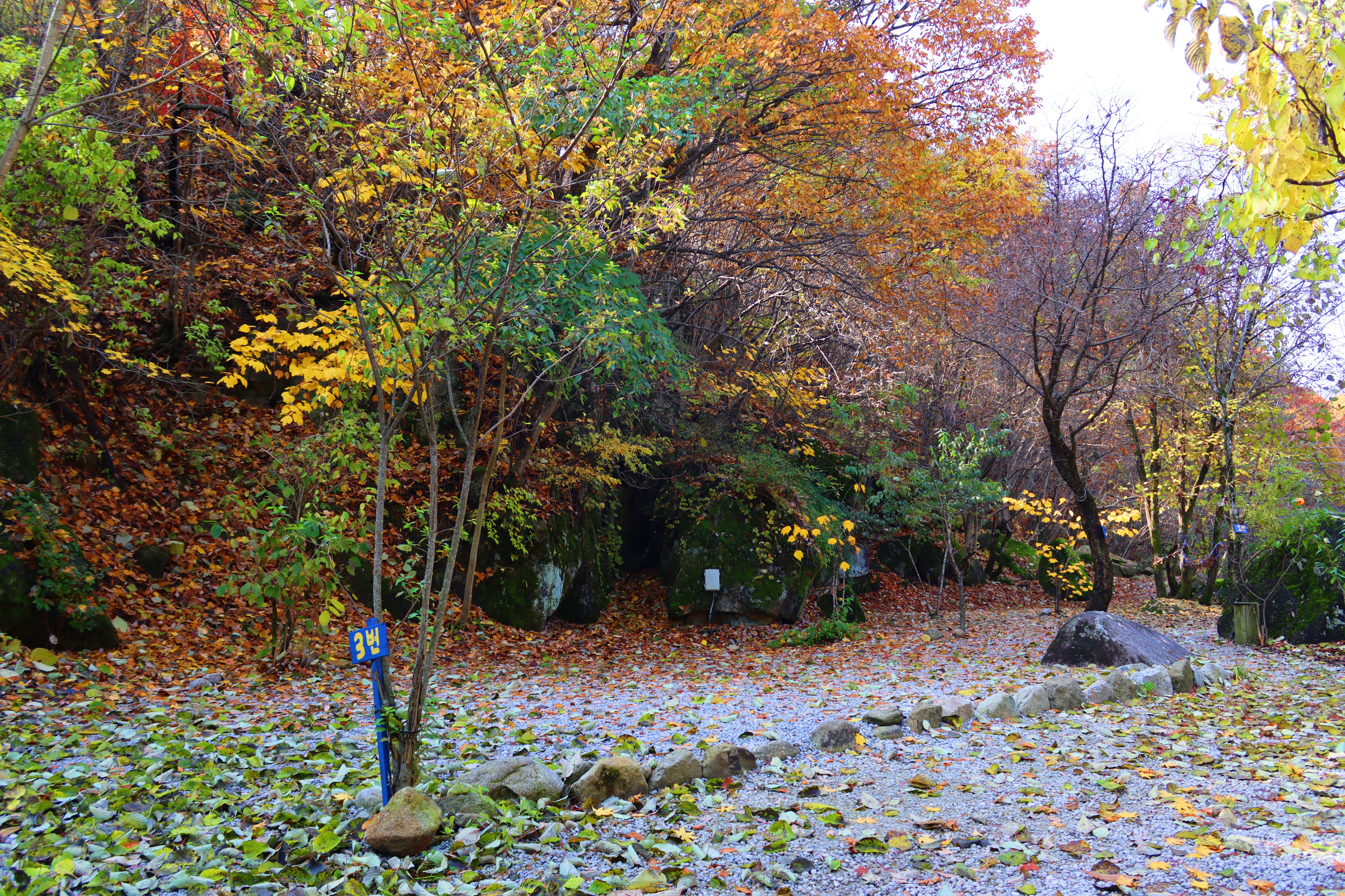 정원캠핑장 이미지
