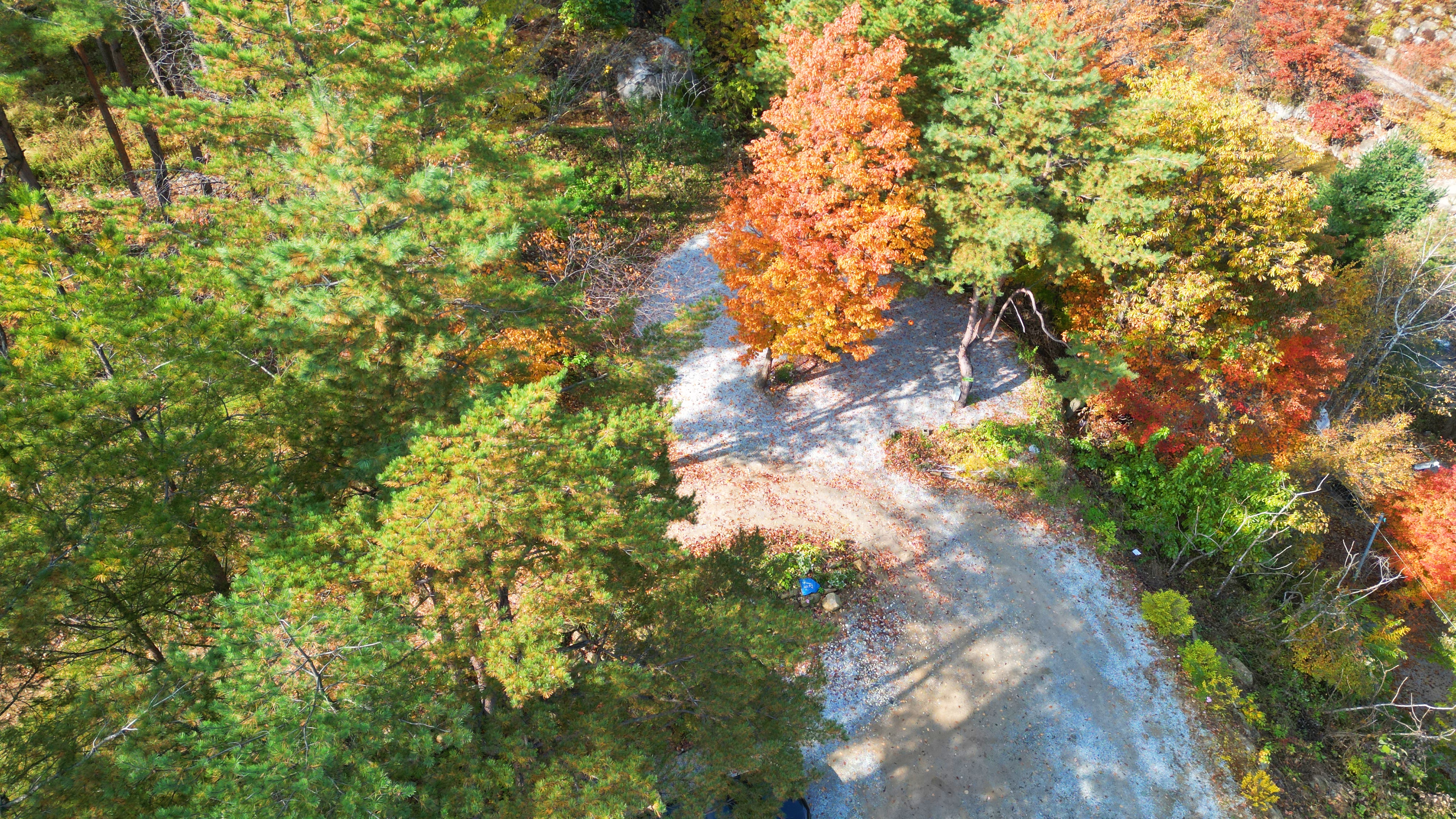 정원캠핑장 이미지