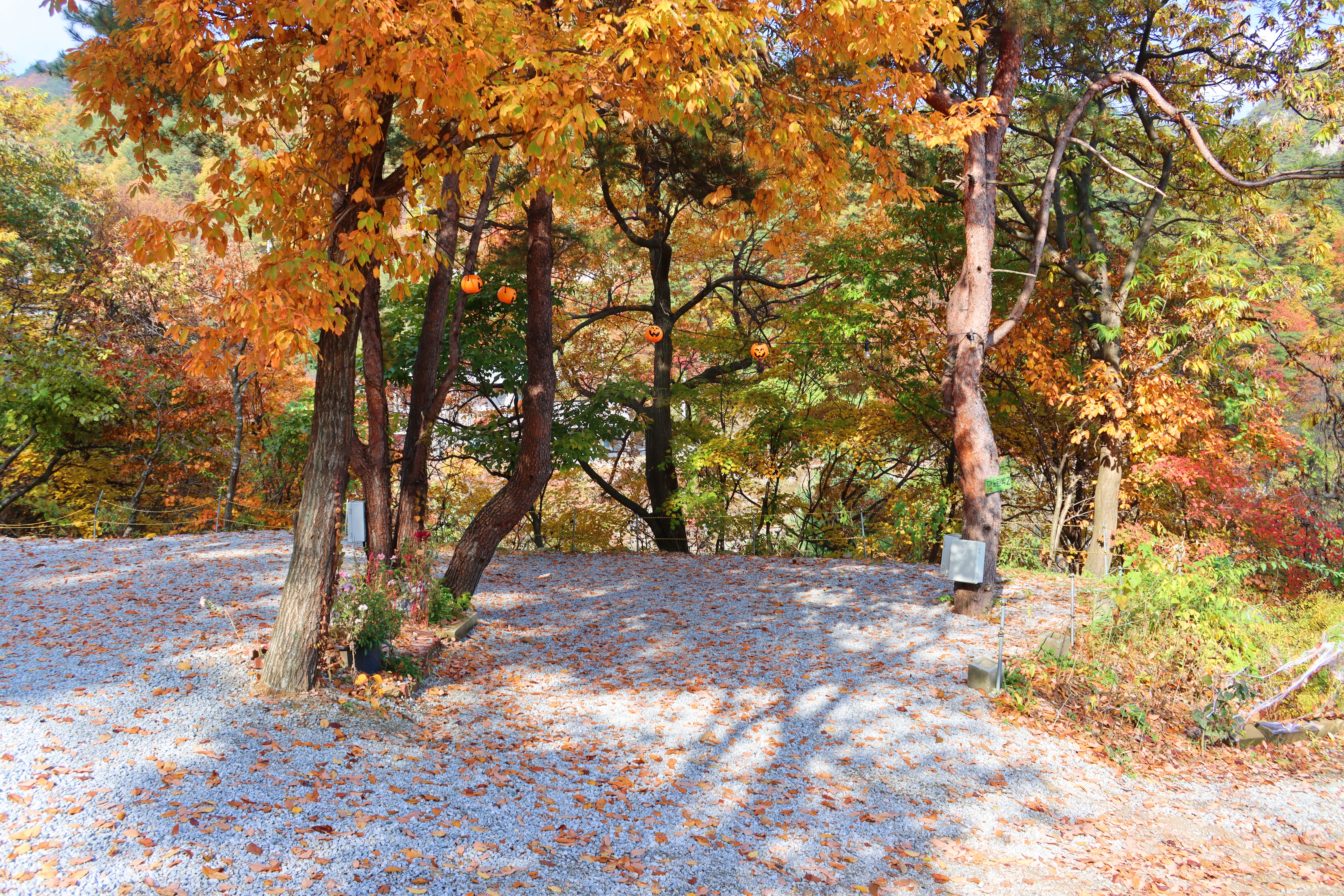 정원캠핑장 이미지