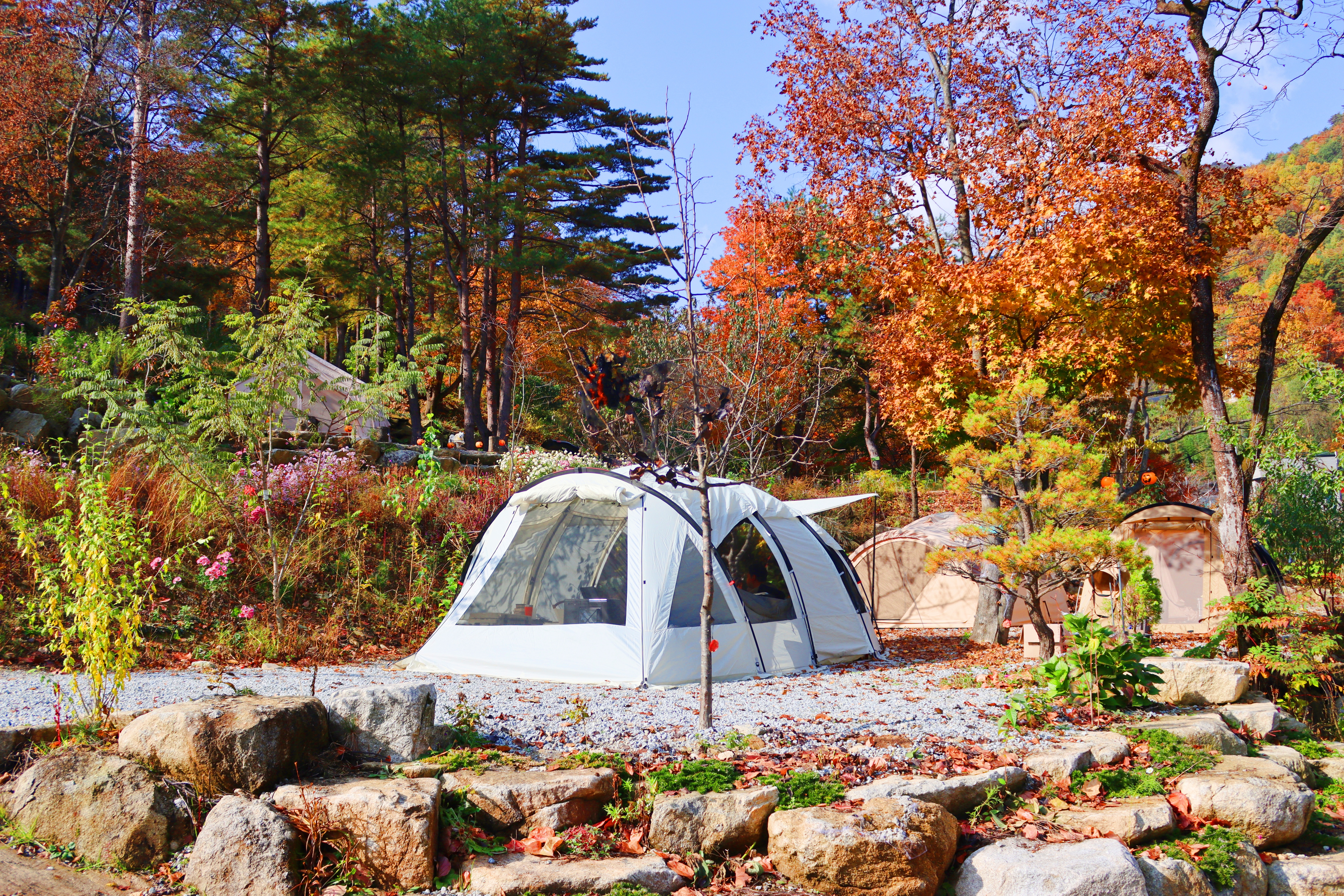 정원캠핑장 이미지