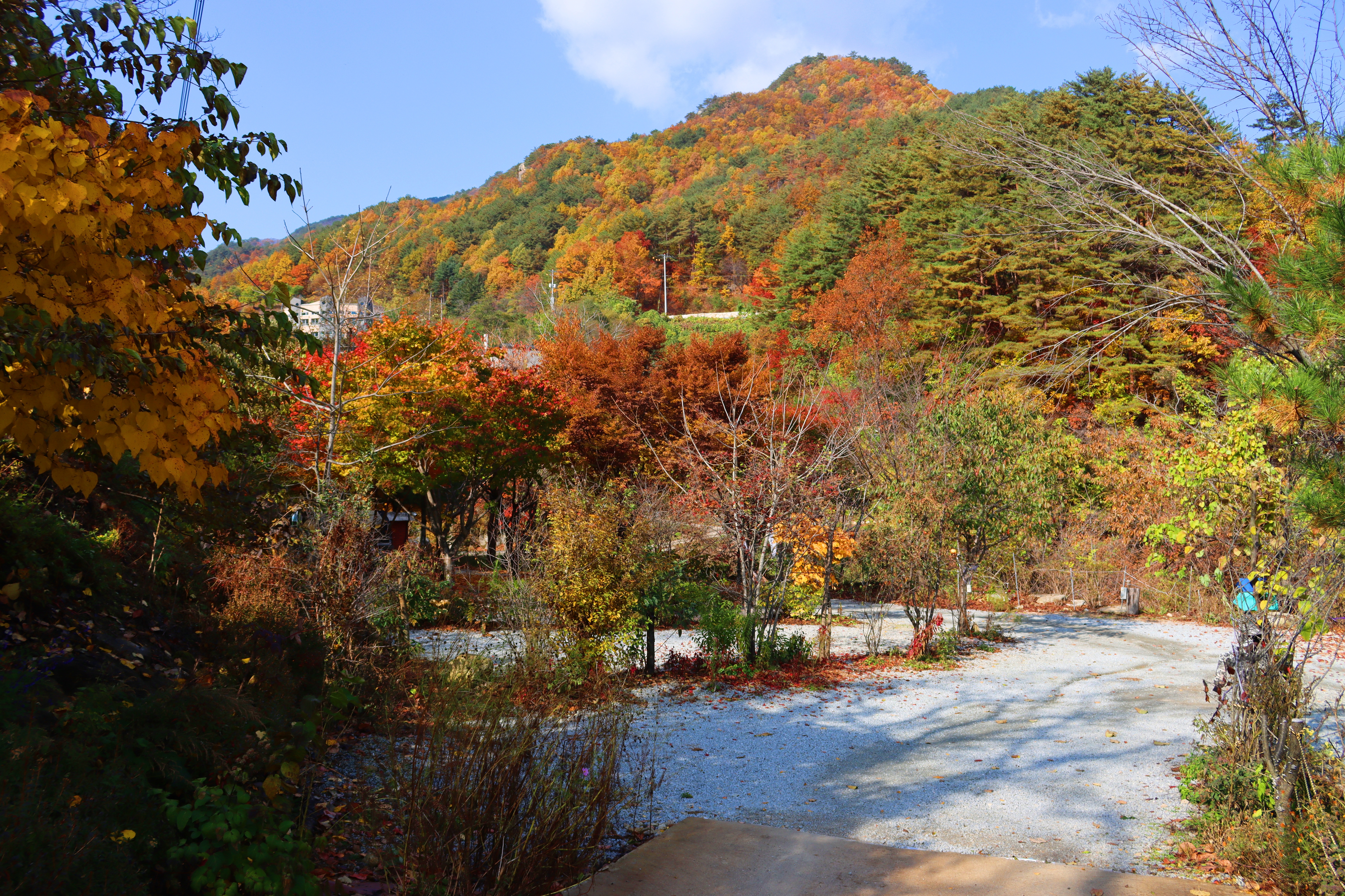 정원캠핑장 이미지