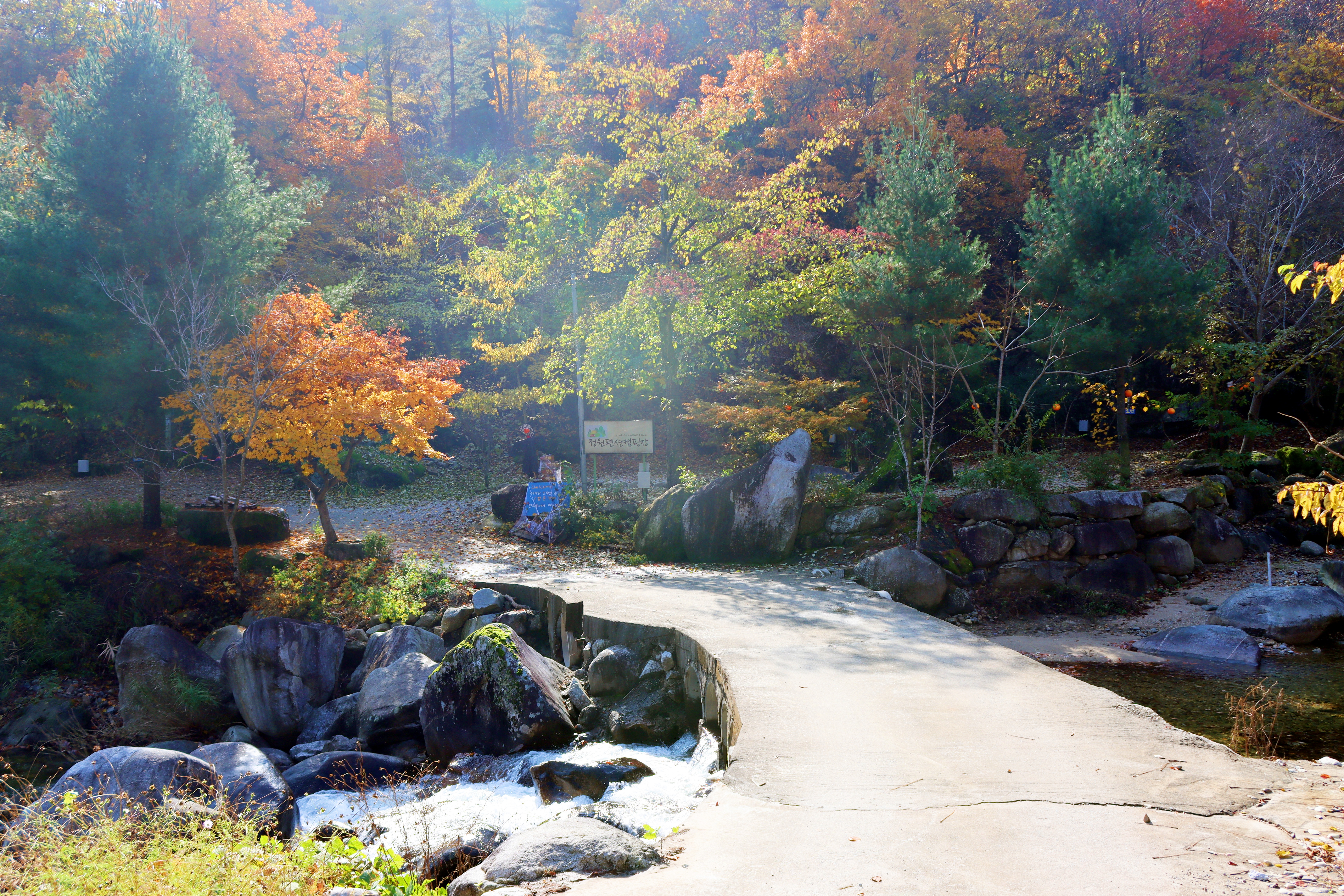 정원캠핑장 이미지