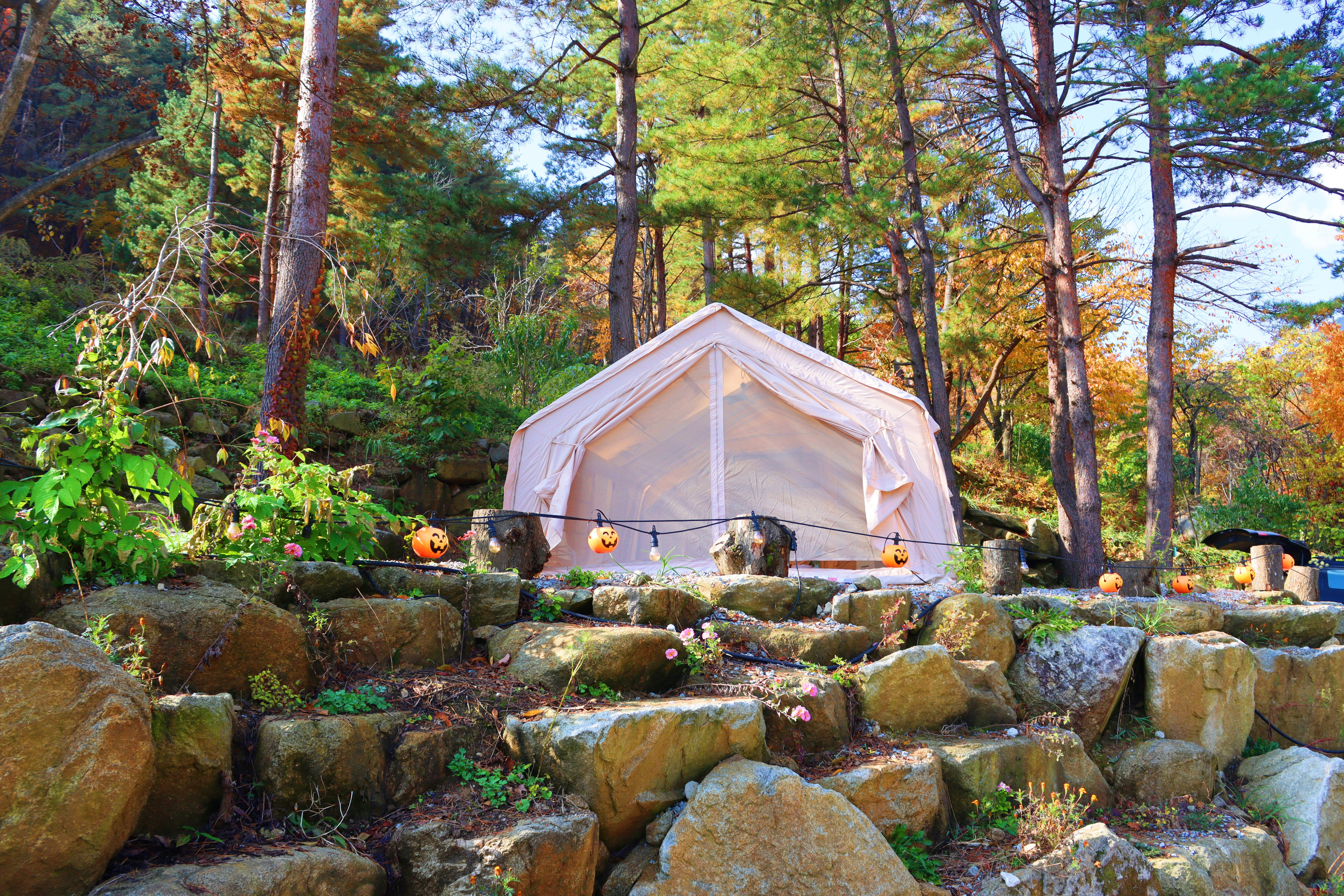 정원캠핑장 이미지