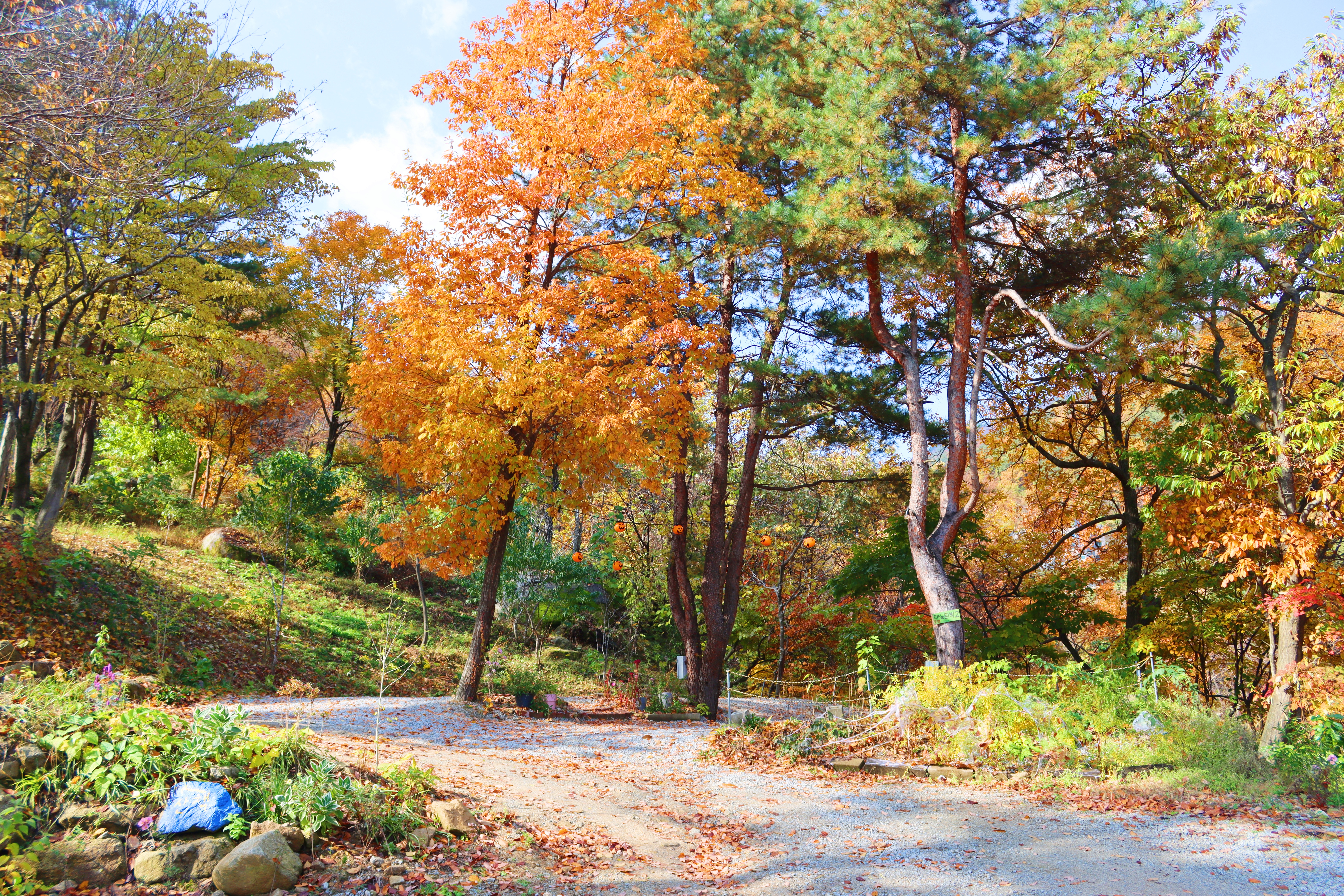 정원캠핑장 이미지