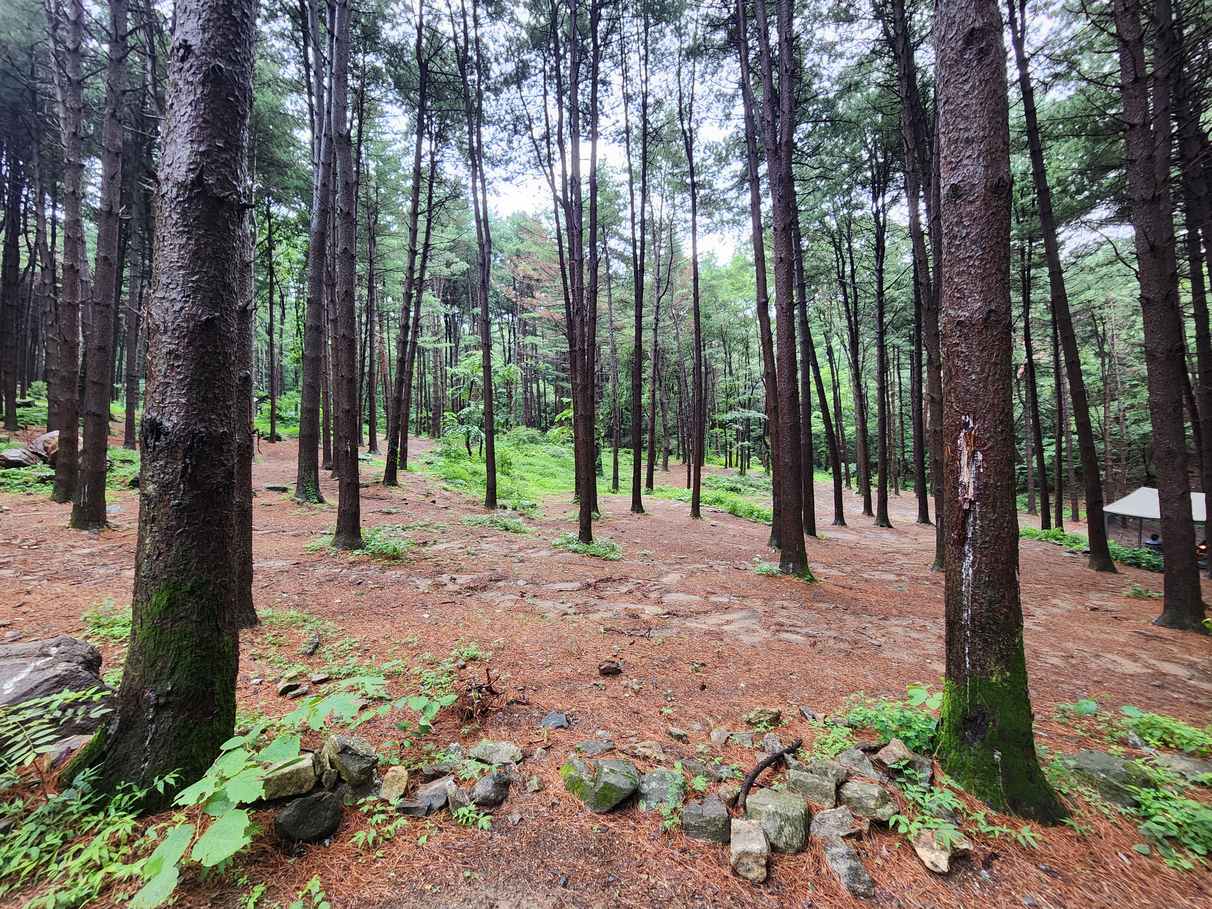 팔현야영장 10번째 이미지