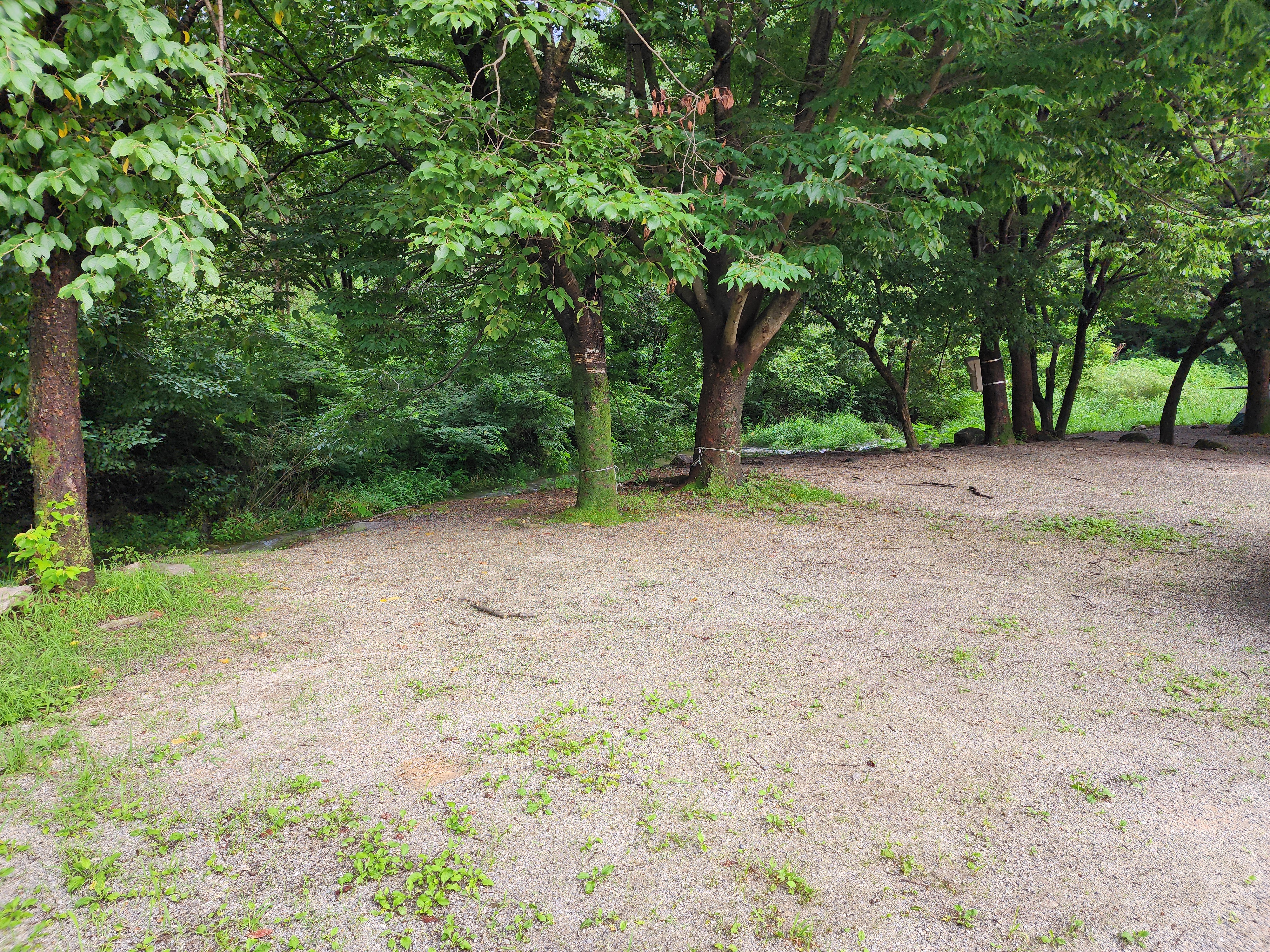 팔현야영장 26번째 이미지