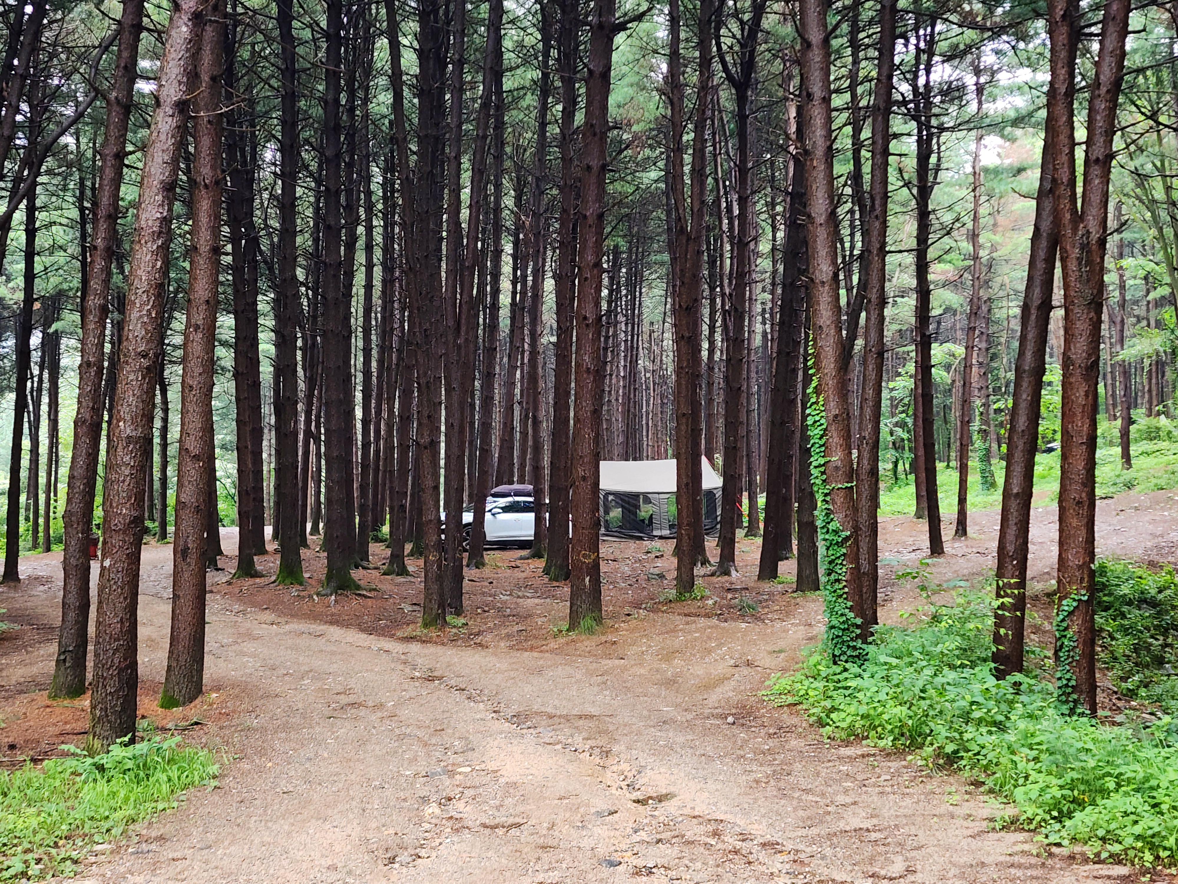 팔현야영장 8번째 이미지