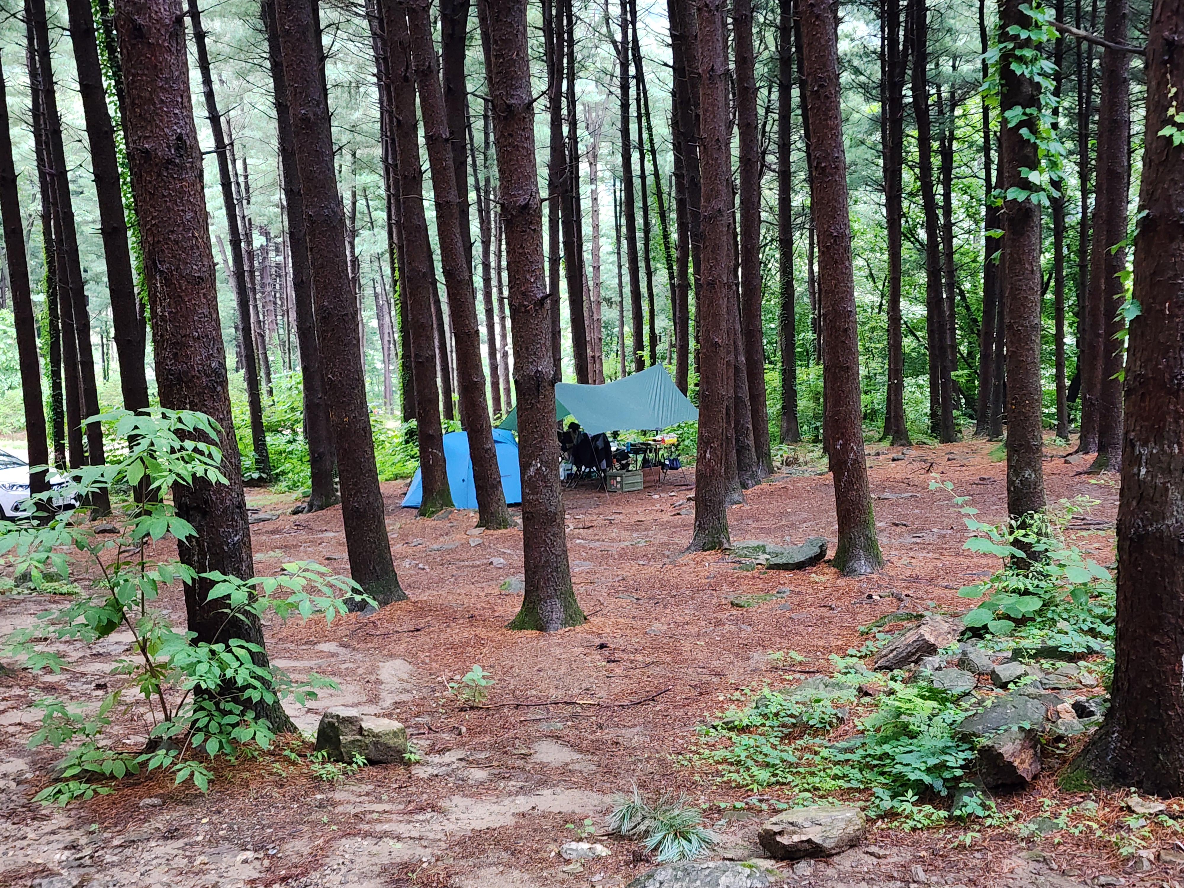 팔현야영장 7번째 이미지