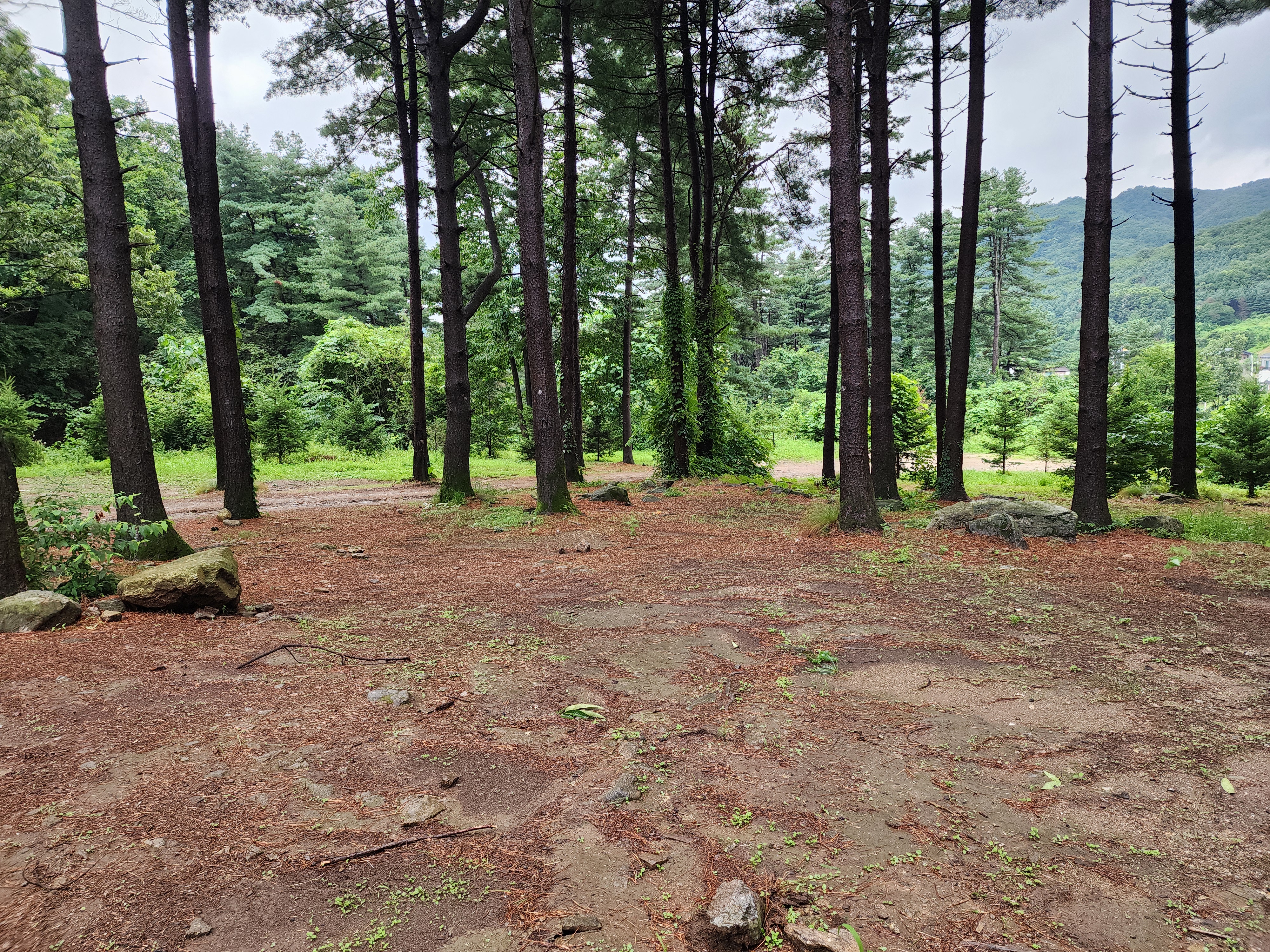 팔현야영장 11번째 이미지