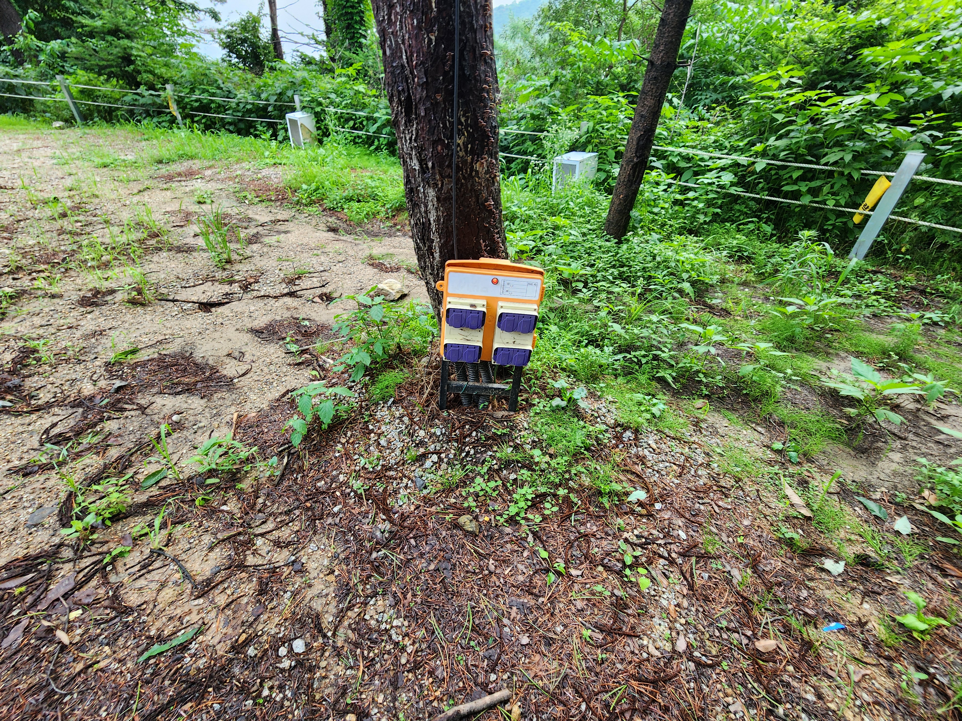 팔현야영장 5번째 이미지