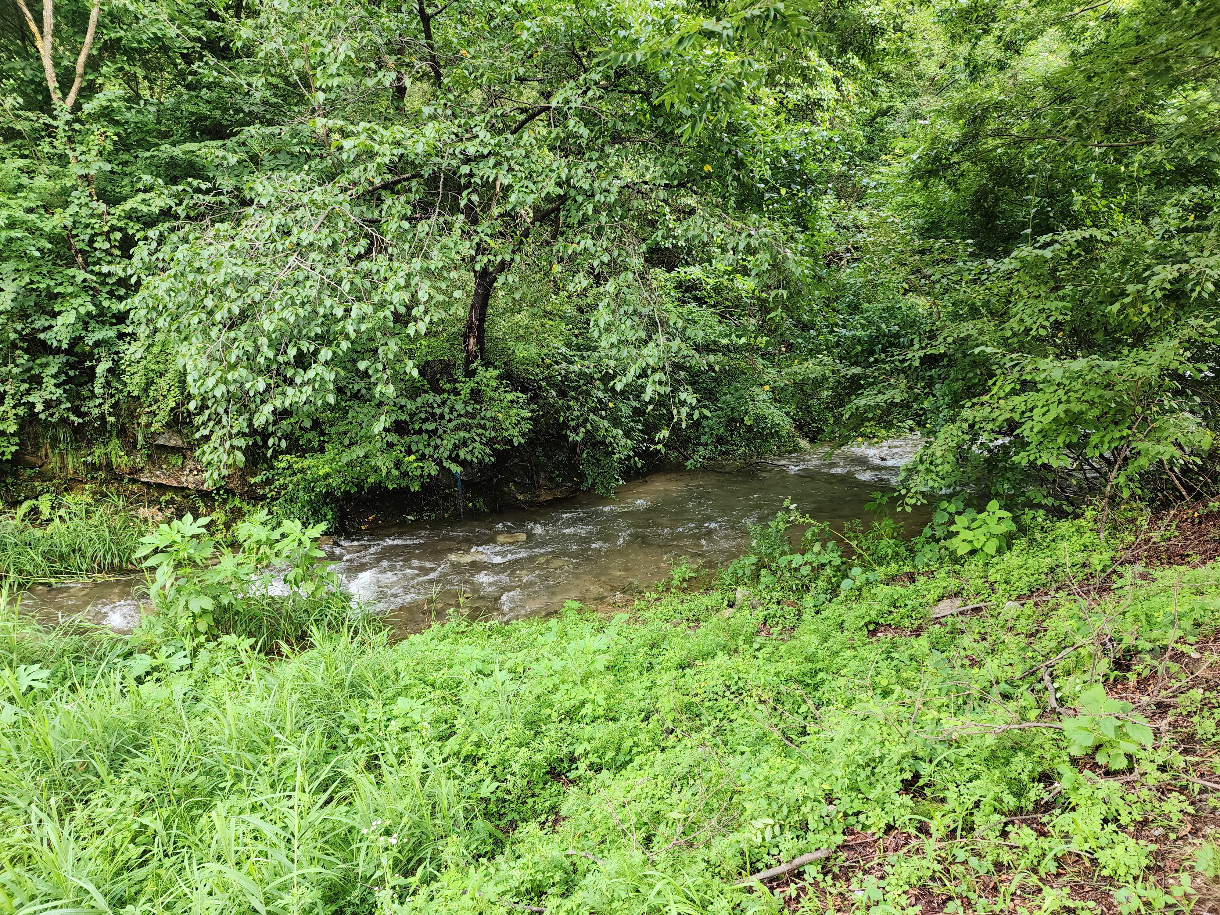 팔현야영장 3번째 이미지