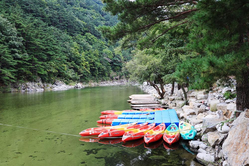 해담마을 야영장