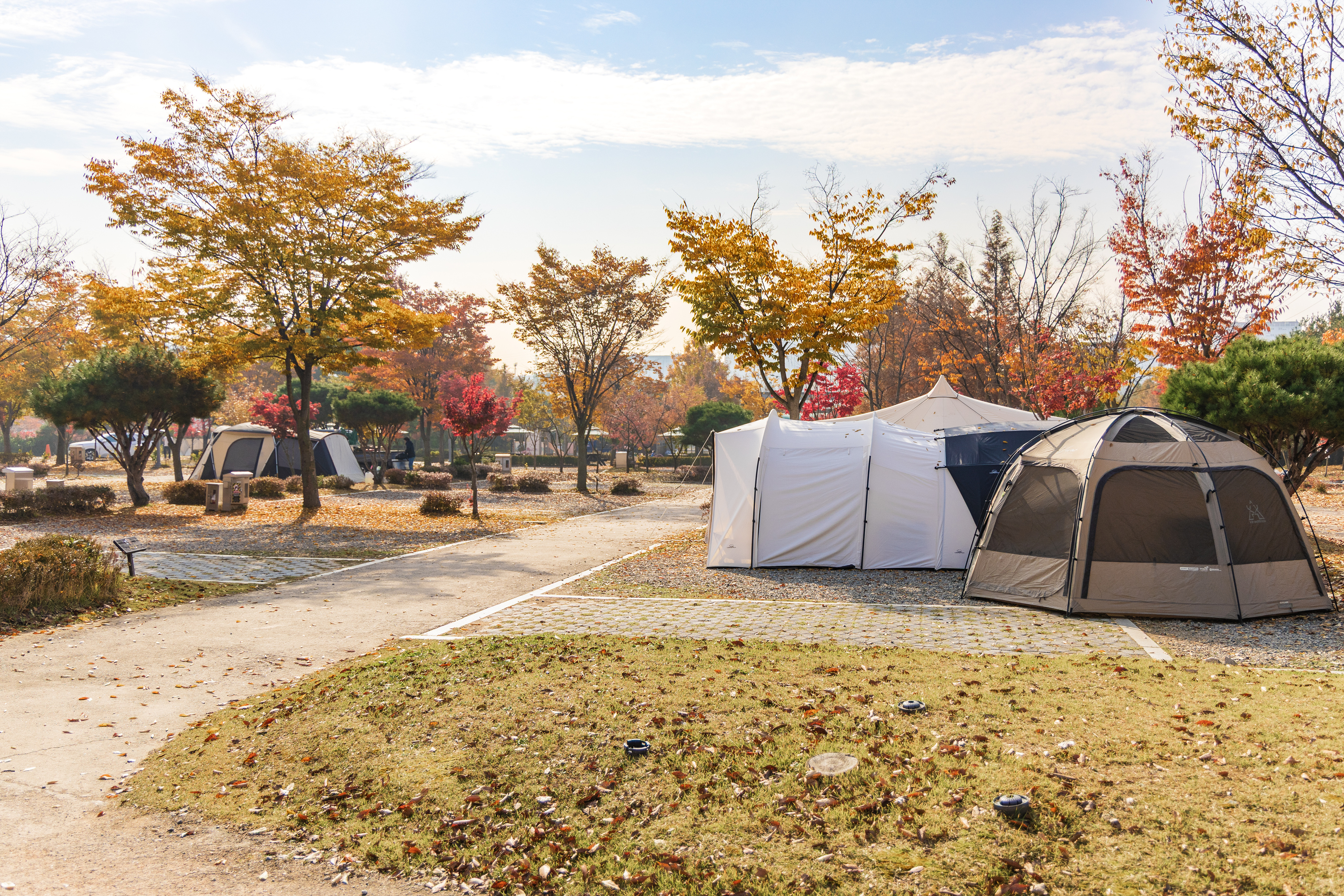 화성시 향남 오토캠핑장 8번째 이미지