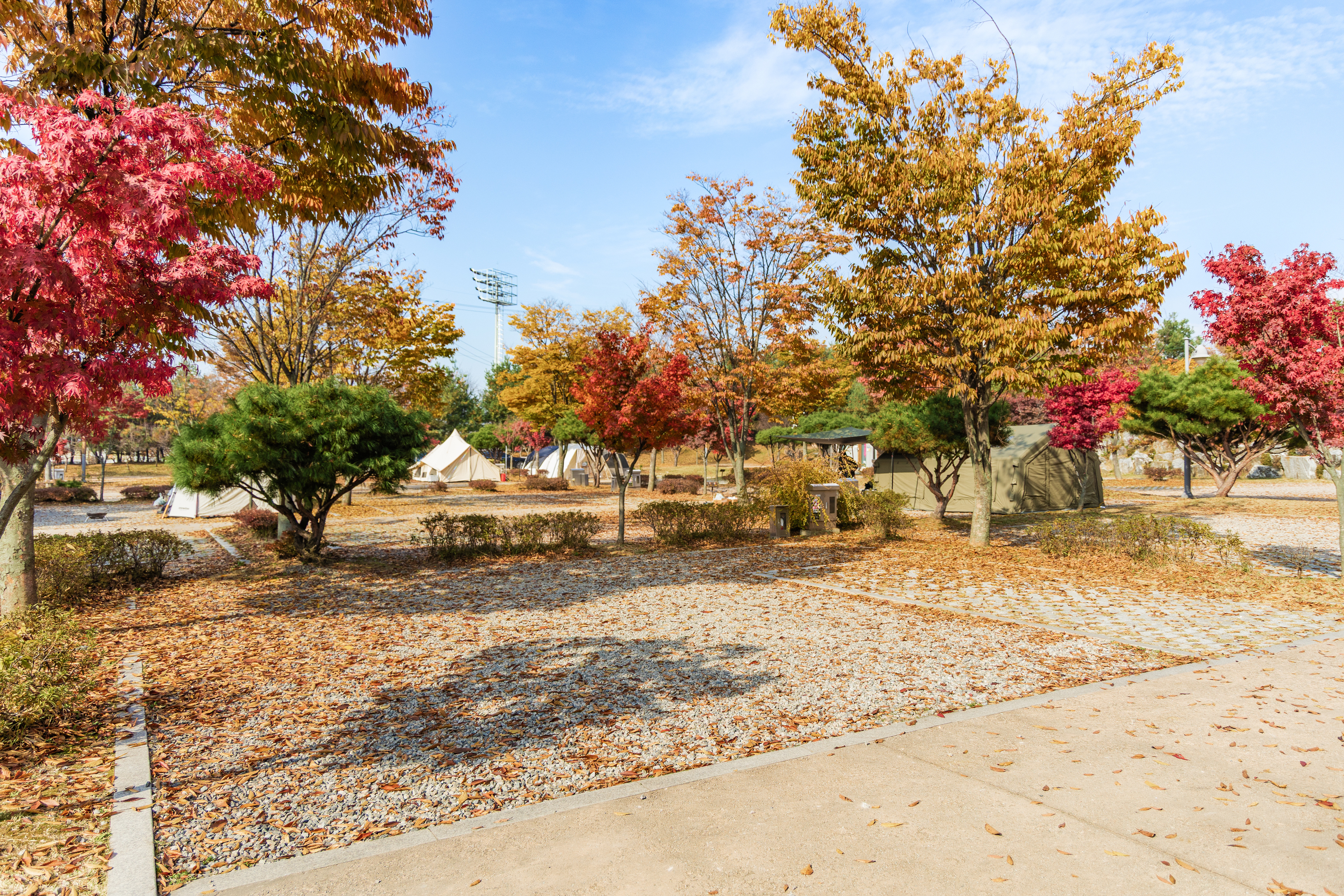 화성시 향남 오토캠핑장 9번째 이미지