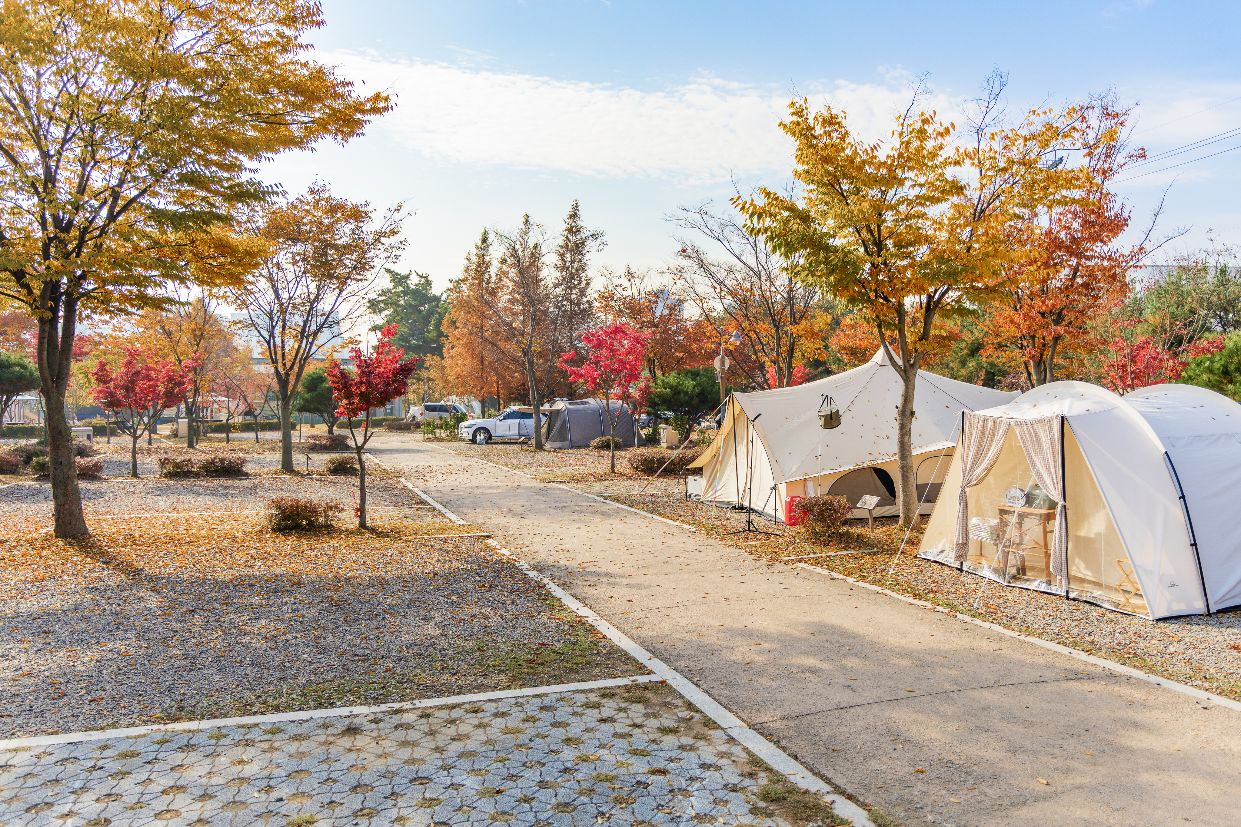 화성시 향남 오토캠핑장 4번째 이미지