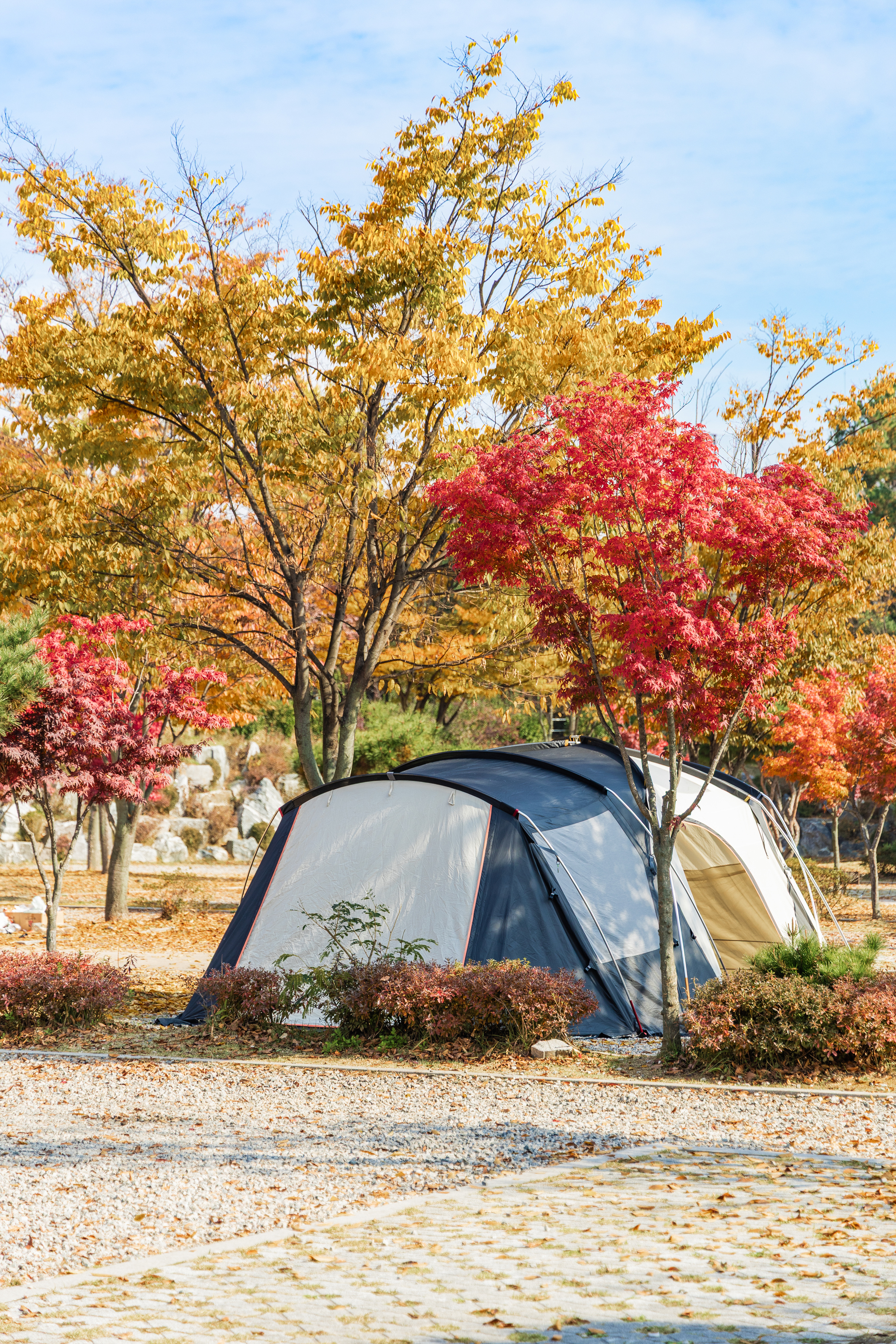 화성시 향남 오토캠핑장 21번째 이미지