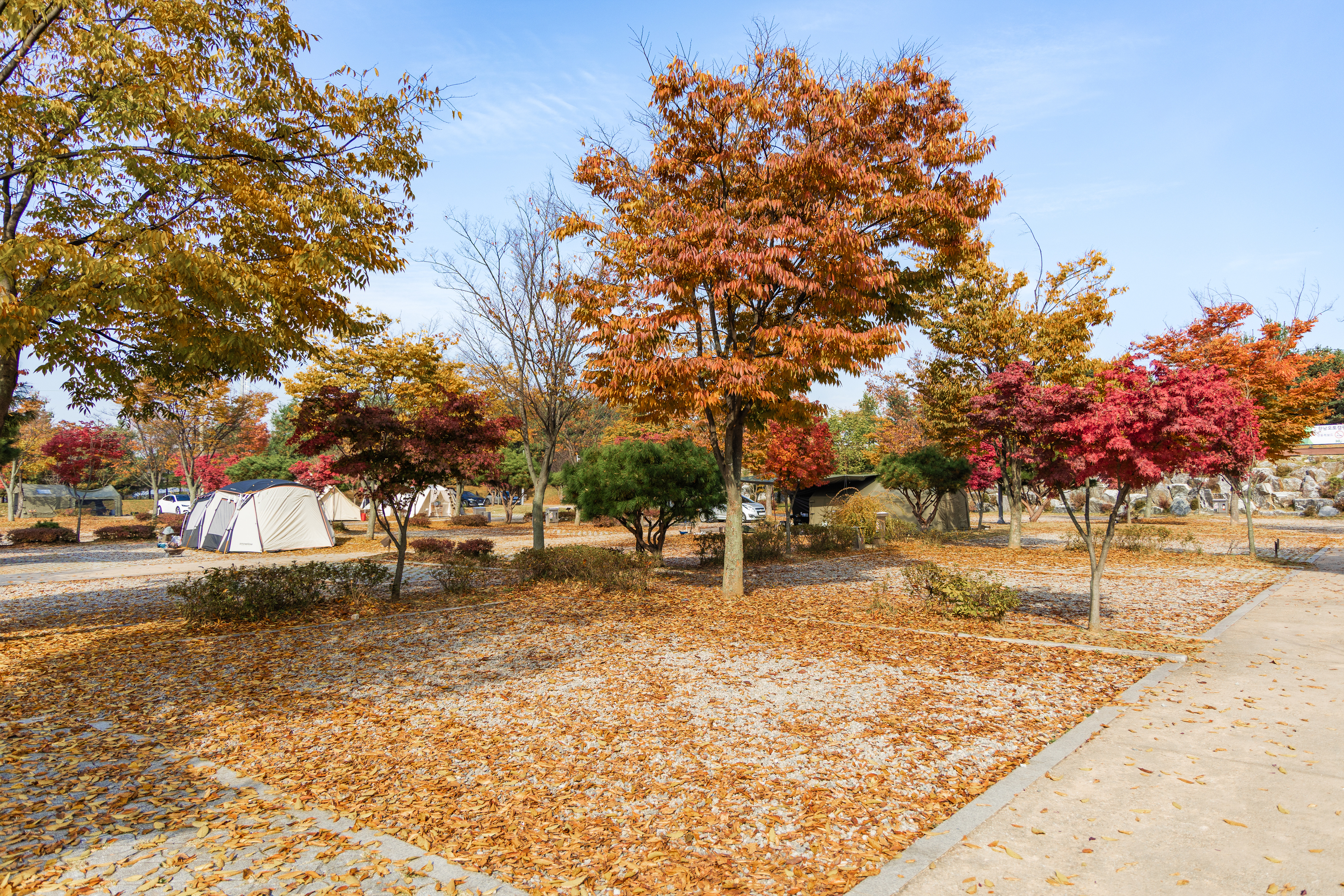 화성시 향남 오토캠핑장 3번째 이미지
