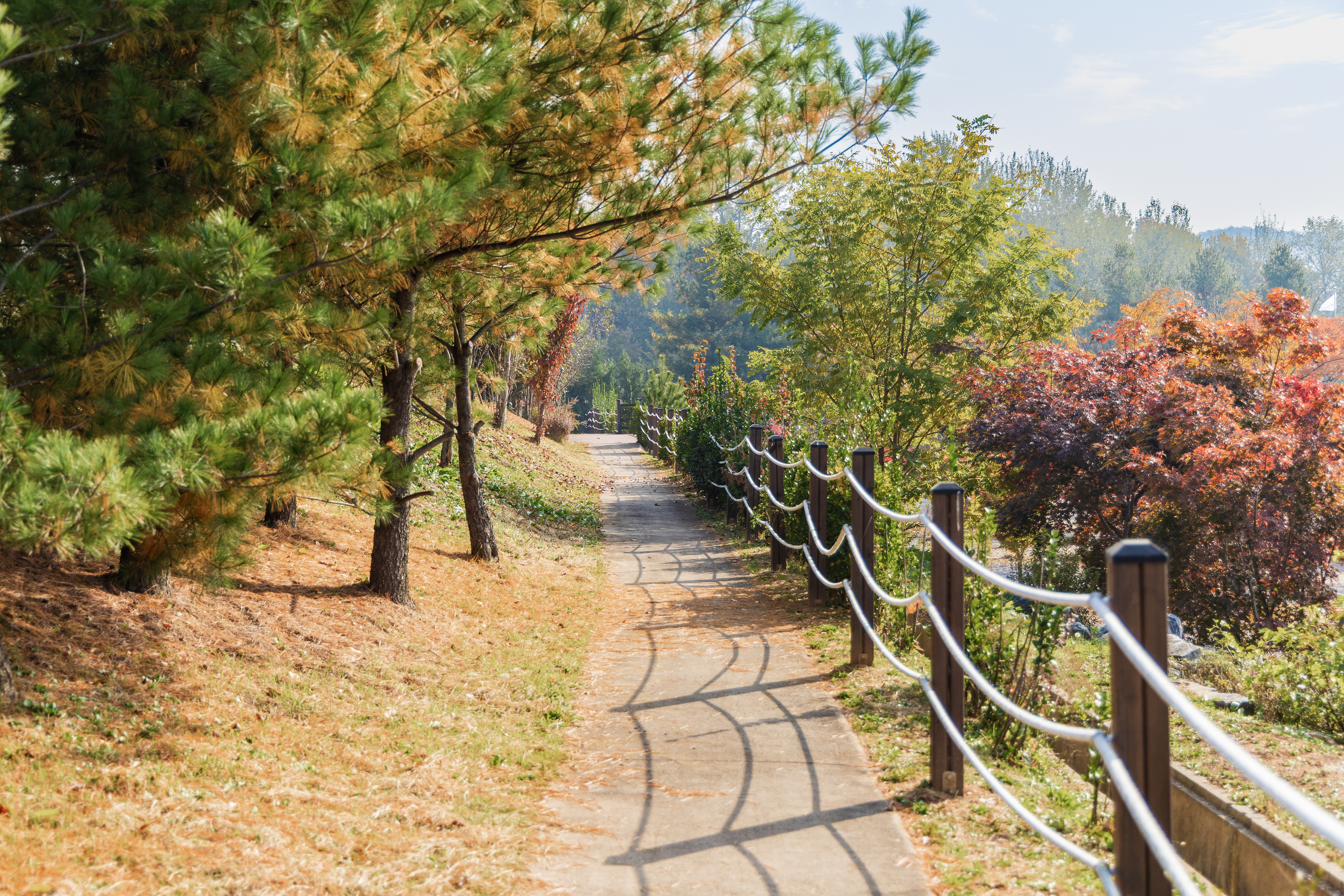화성시 향남 오토캠핑장 49번째 이미지