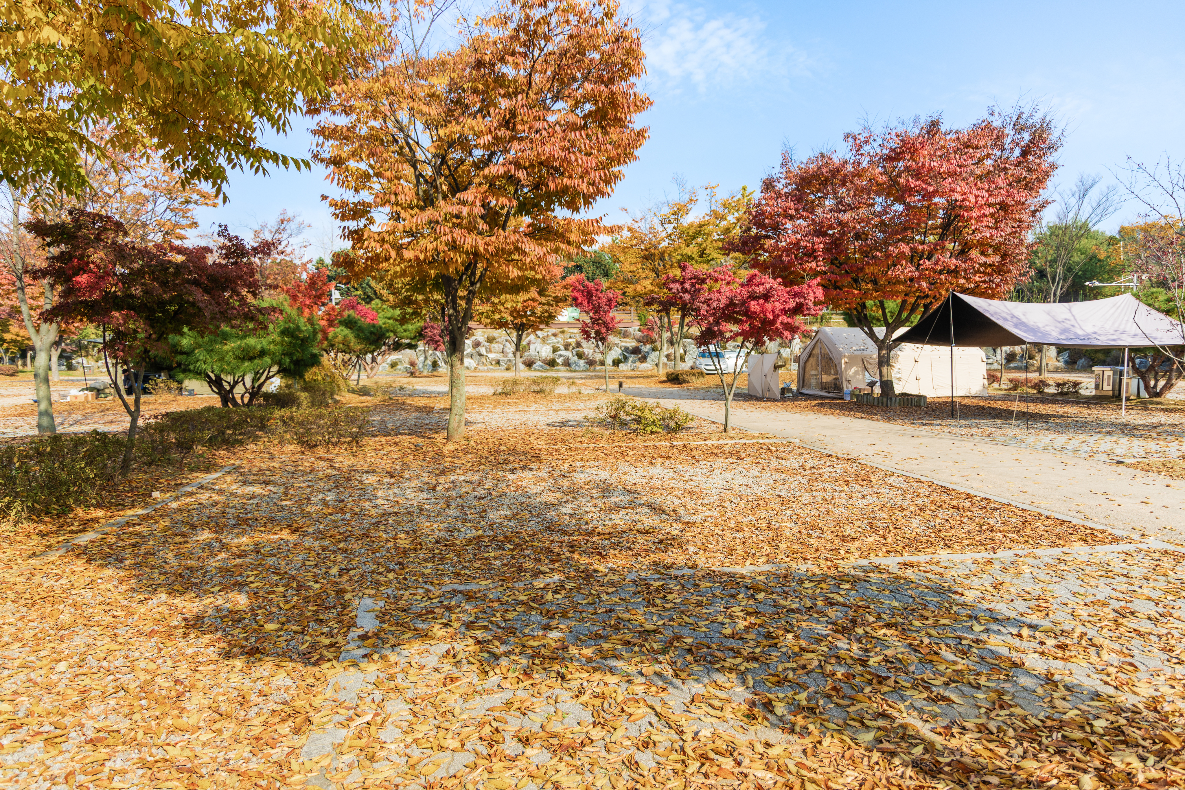 화성시 향남 오토캠핑장 11번째 이미지