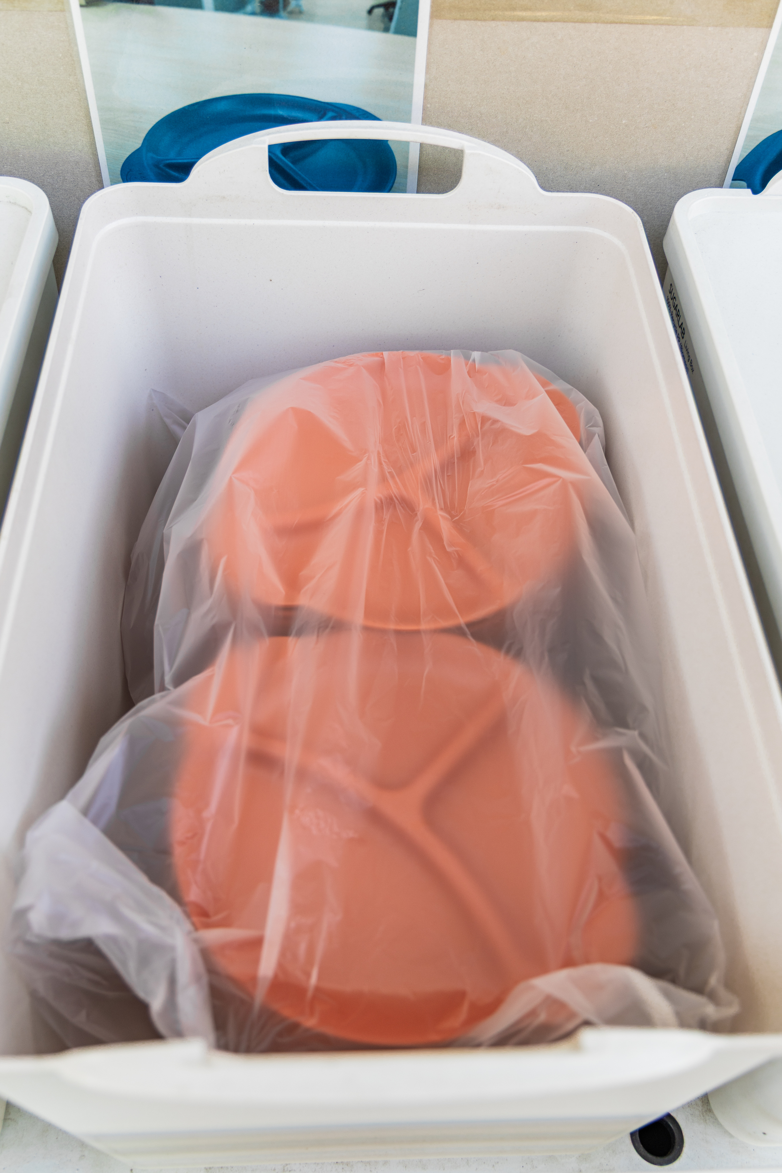 화성시 향남 오토캠핑장 36번째 이미지