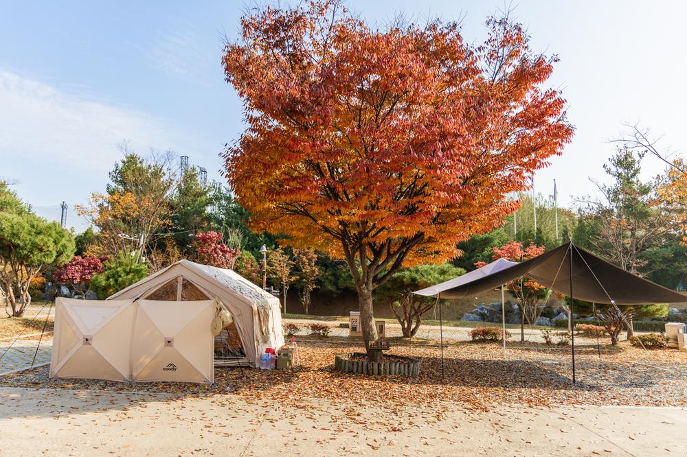 화성시 향남 오토캠핑장